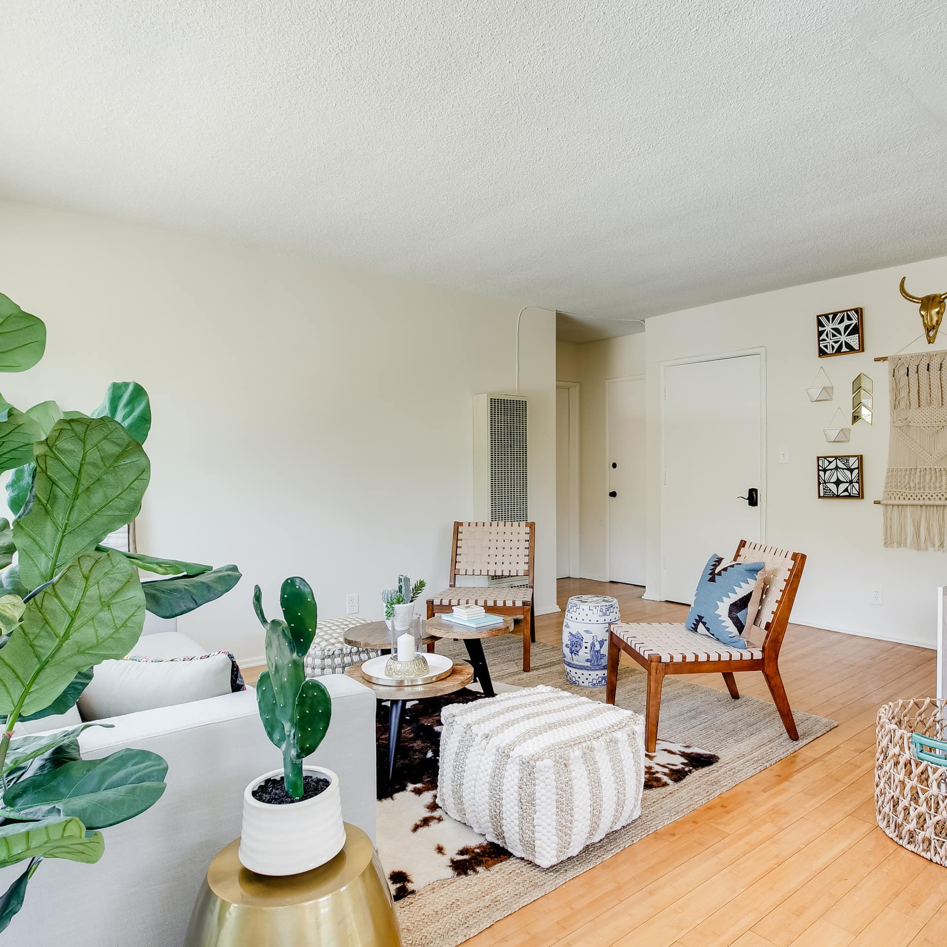 Affordable apartment in Hollywood, Los Angeles