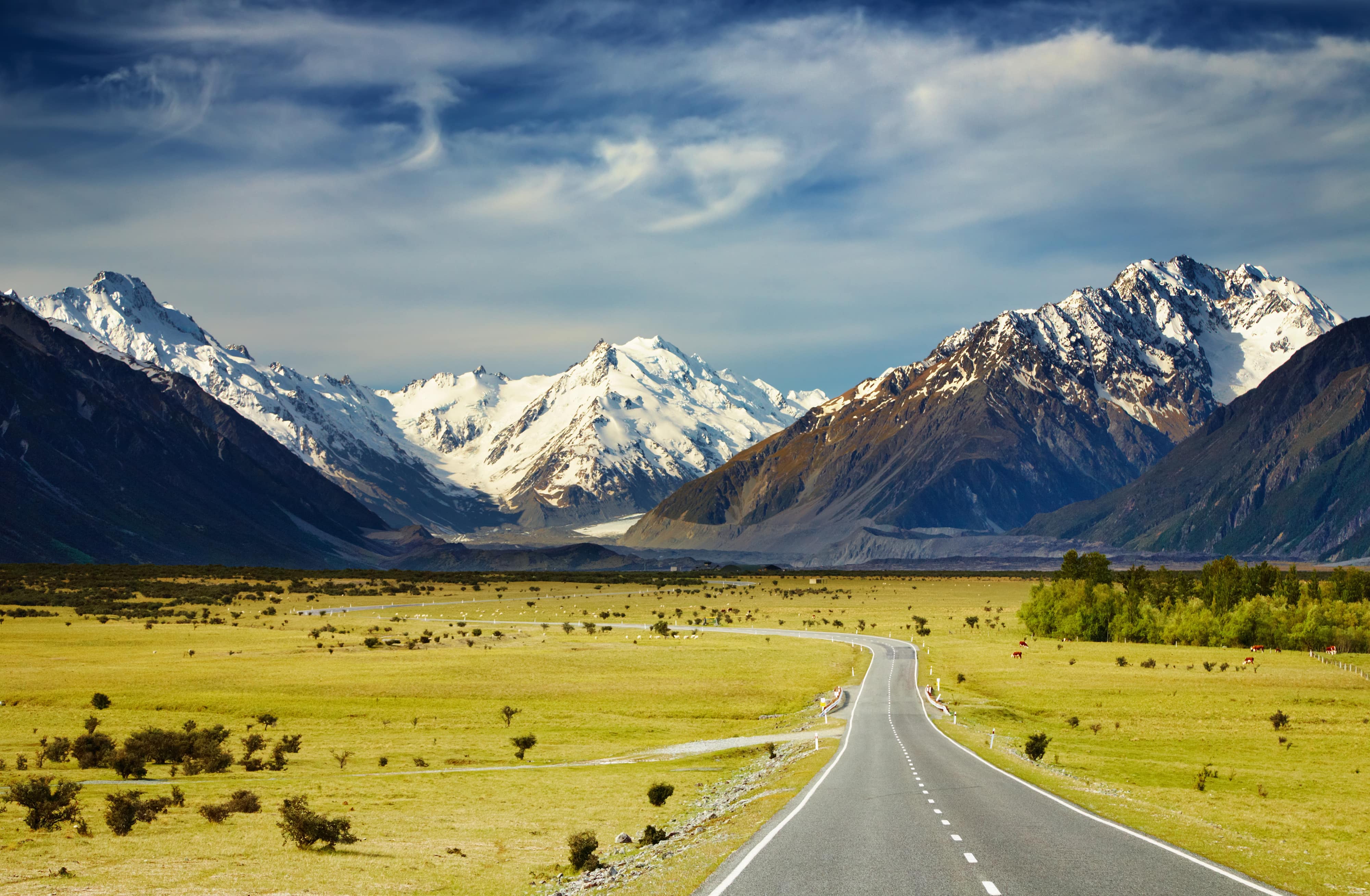Rural road in New Zealand
