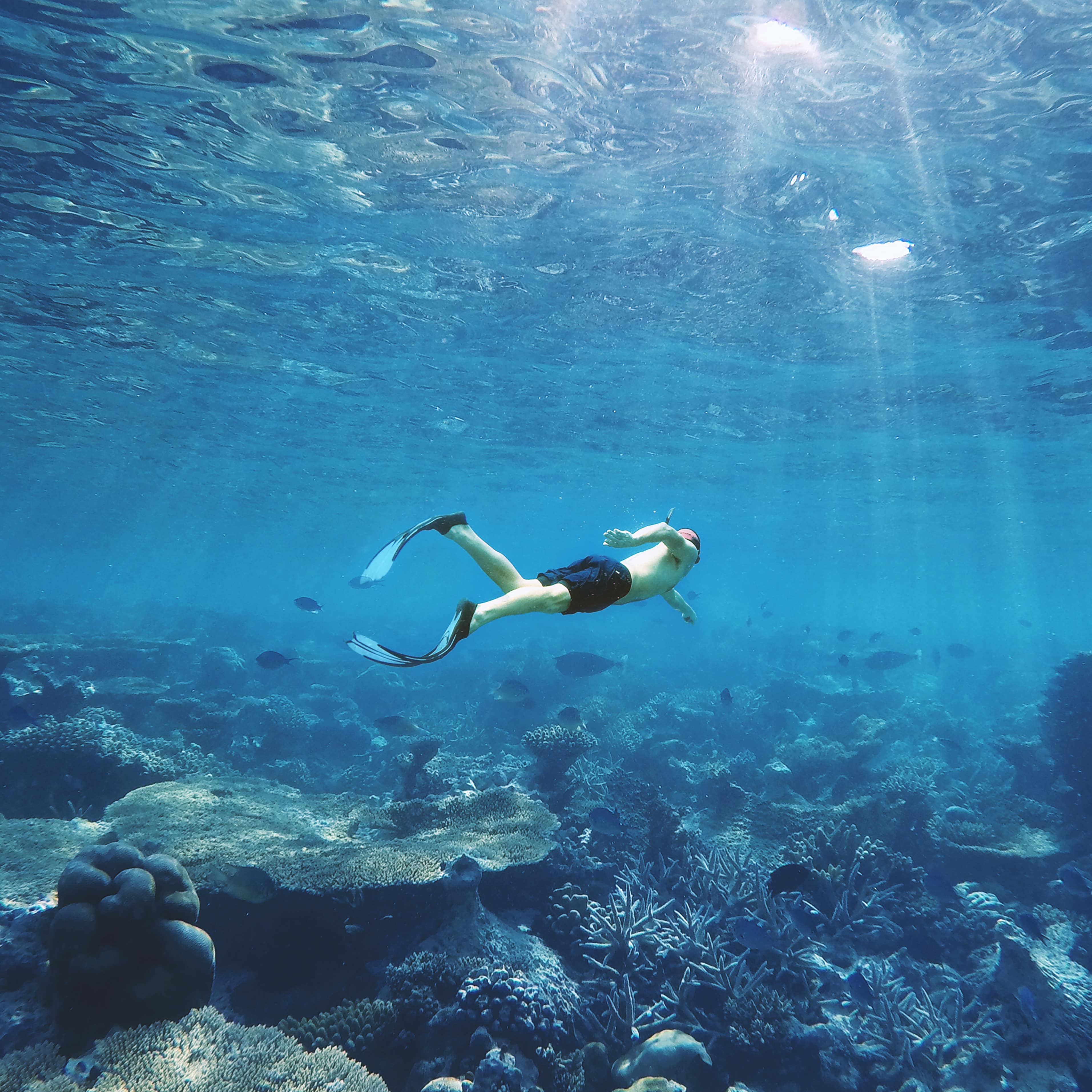 Man swimming underwater over the coral reefs of the Maldives with fish and light filtering through the blue water