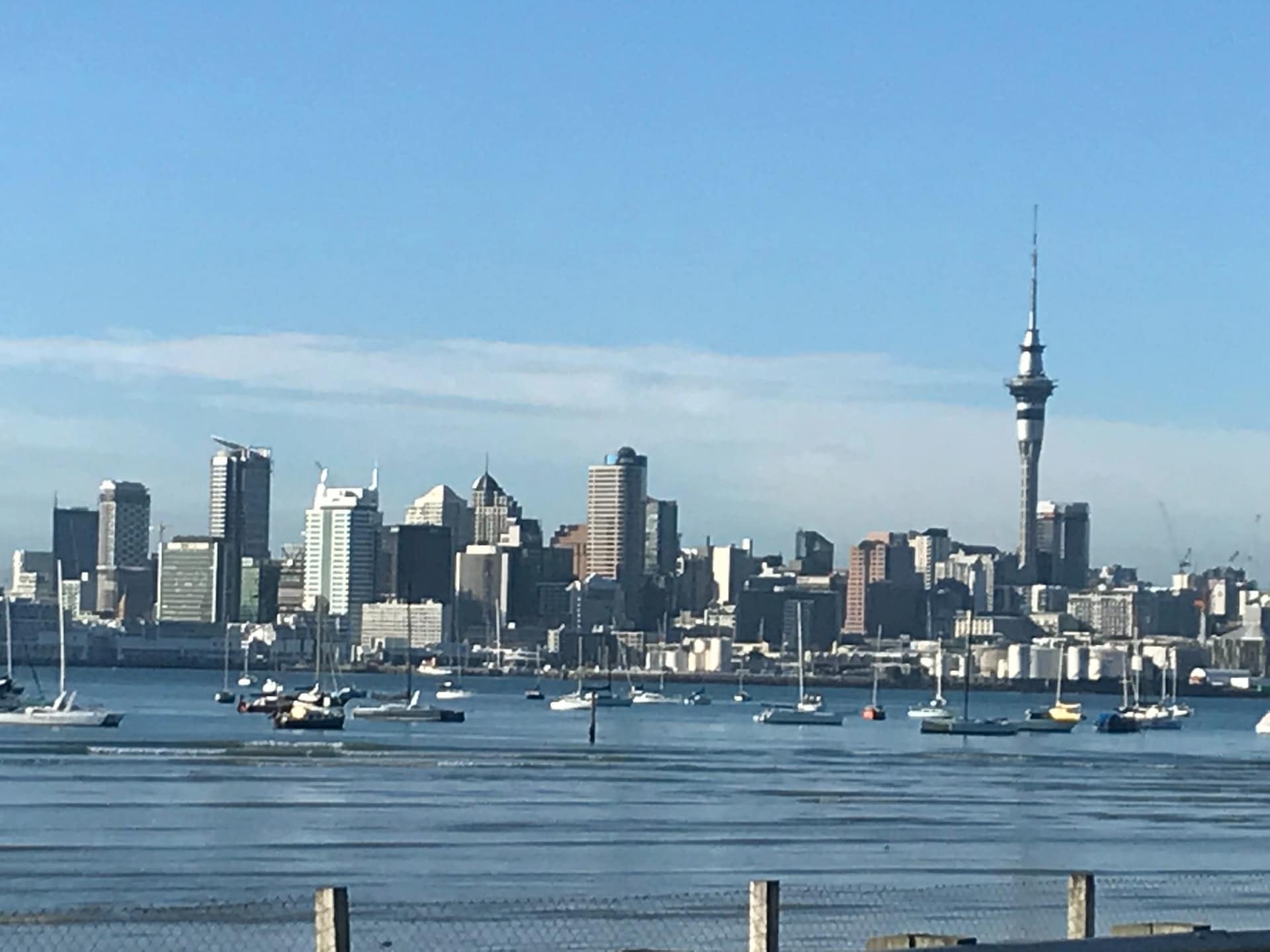 Auckland City