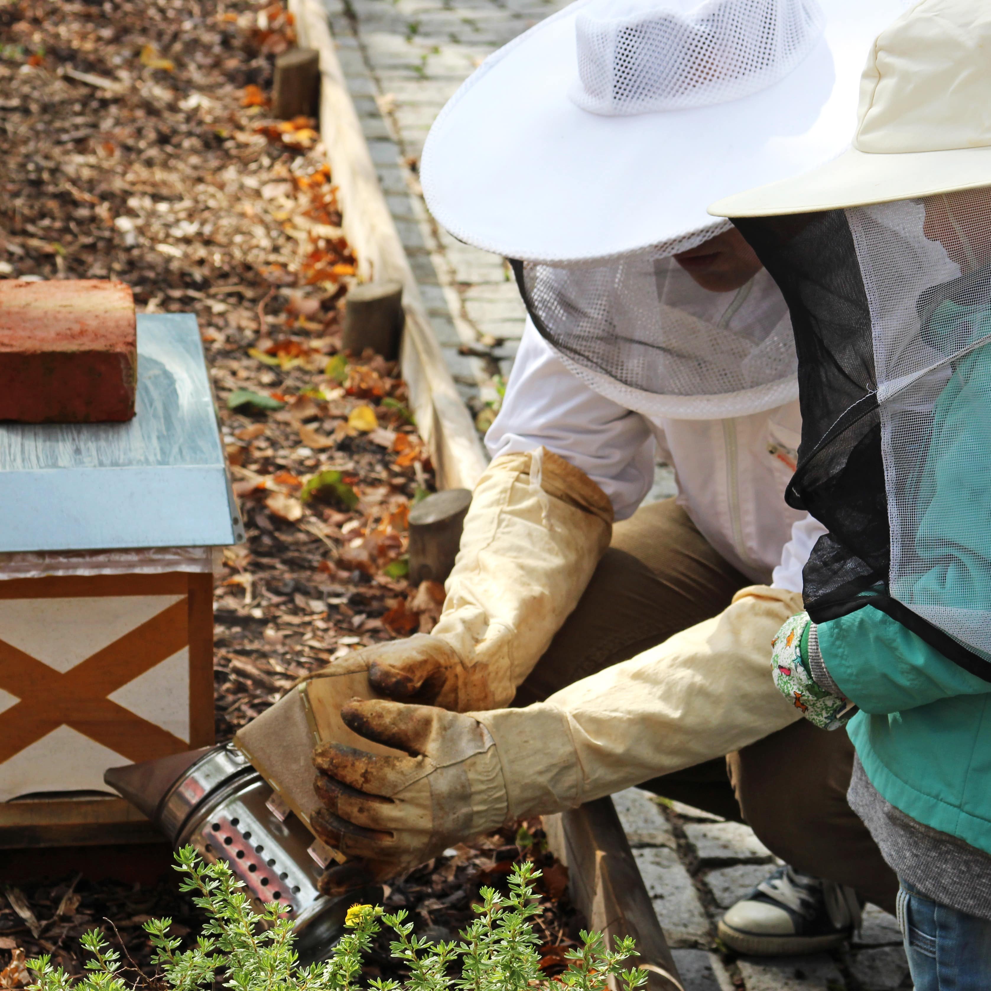 Child learning about honeybees