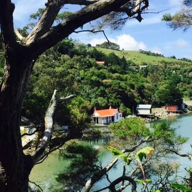 Birdseye view of bach with red roof on the seaside, looking through trees from across the lake