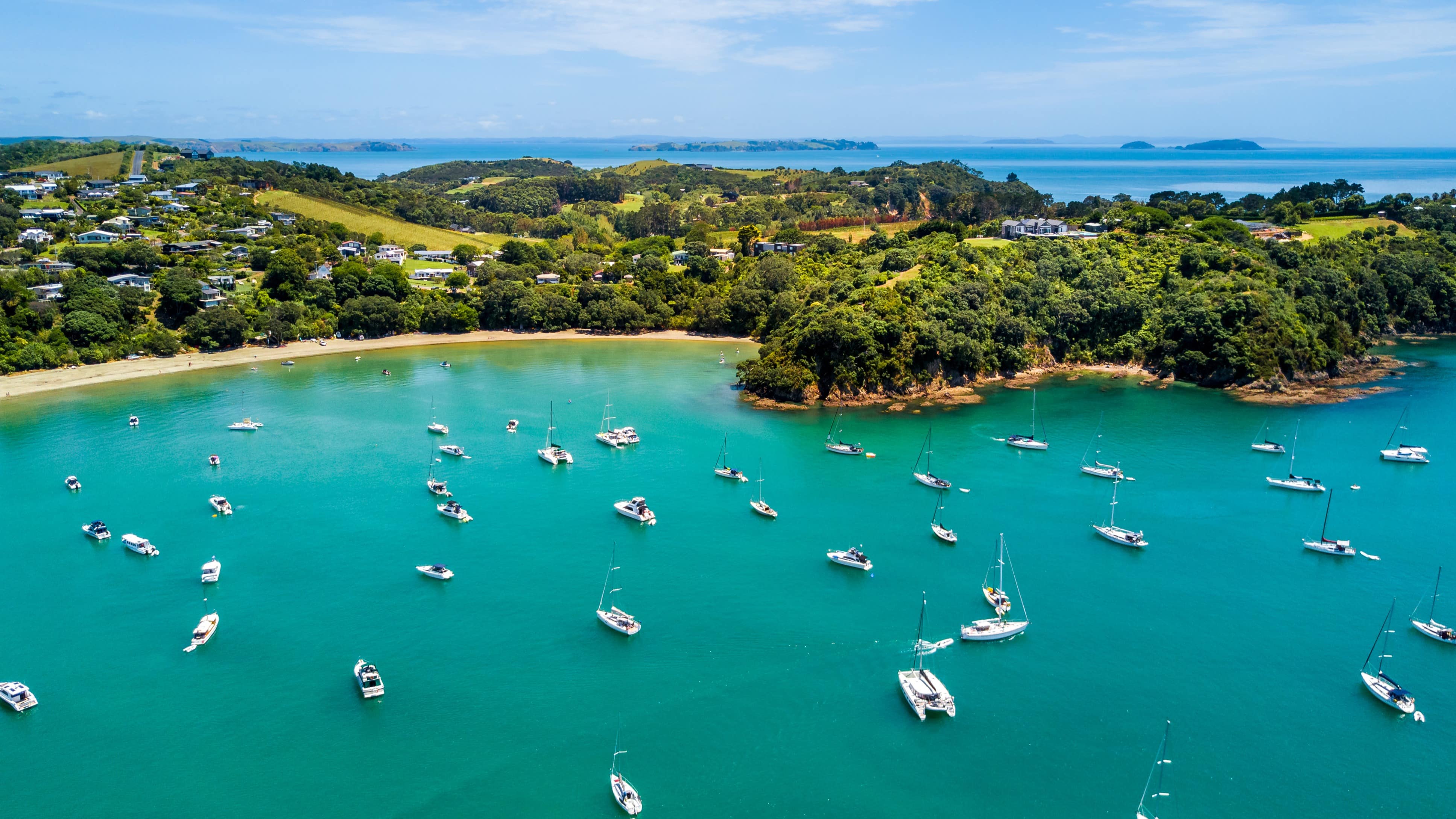 Discover the best beaches on Waiheke Island