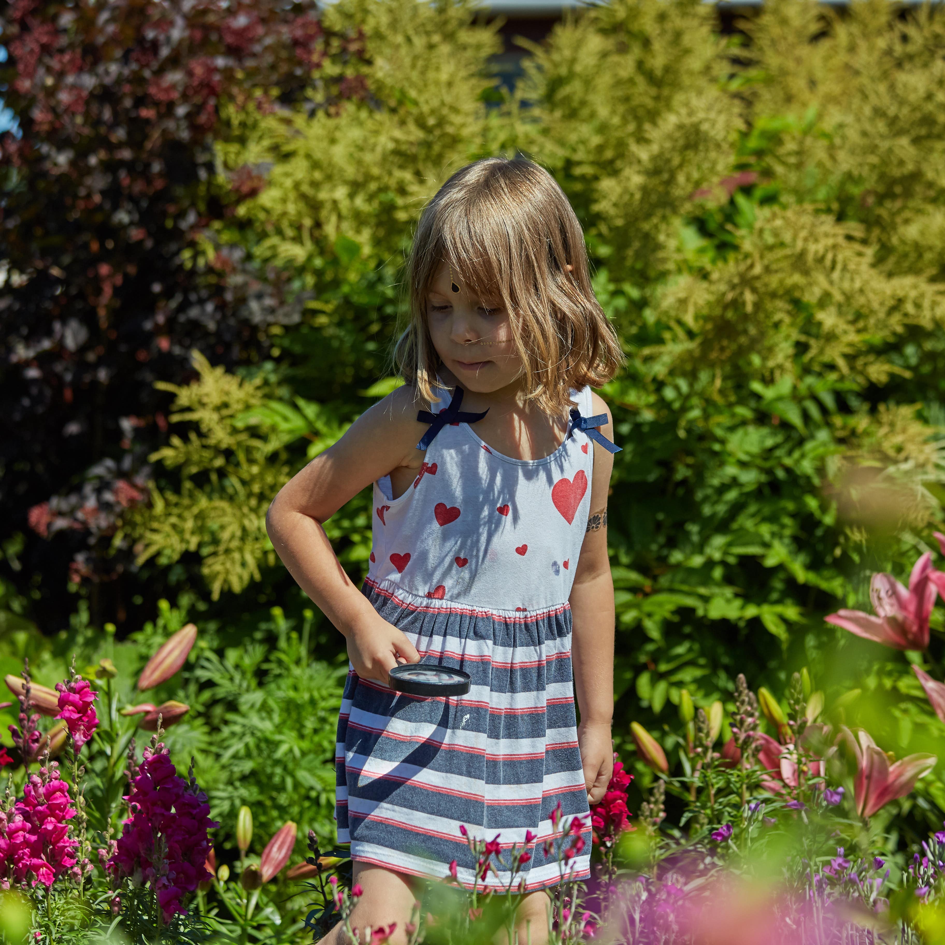 Young girl holding magnifying glass walks around the garden and studies plants and flowers