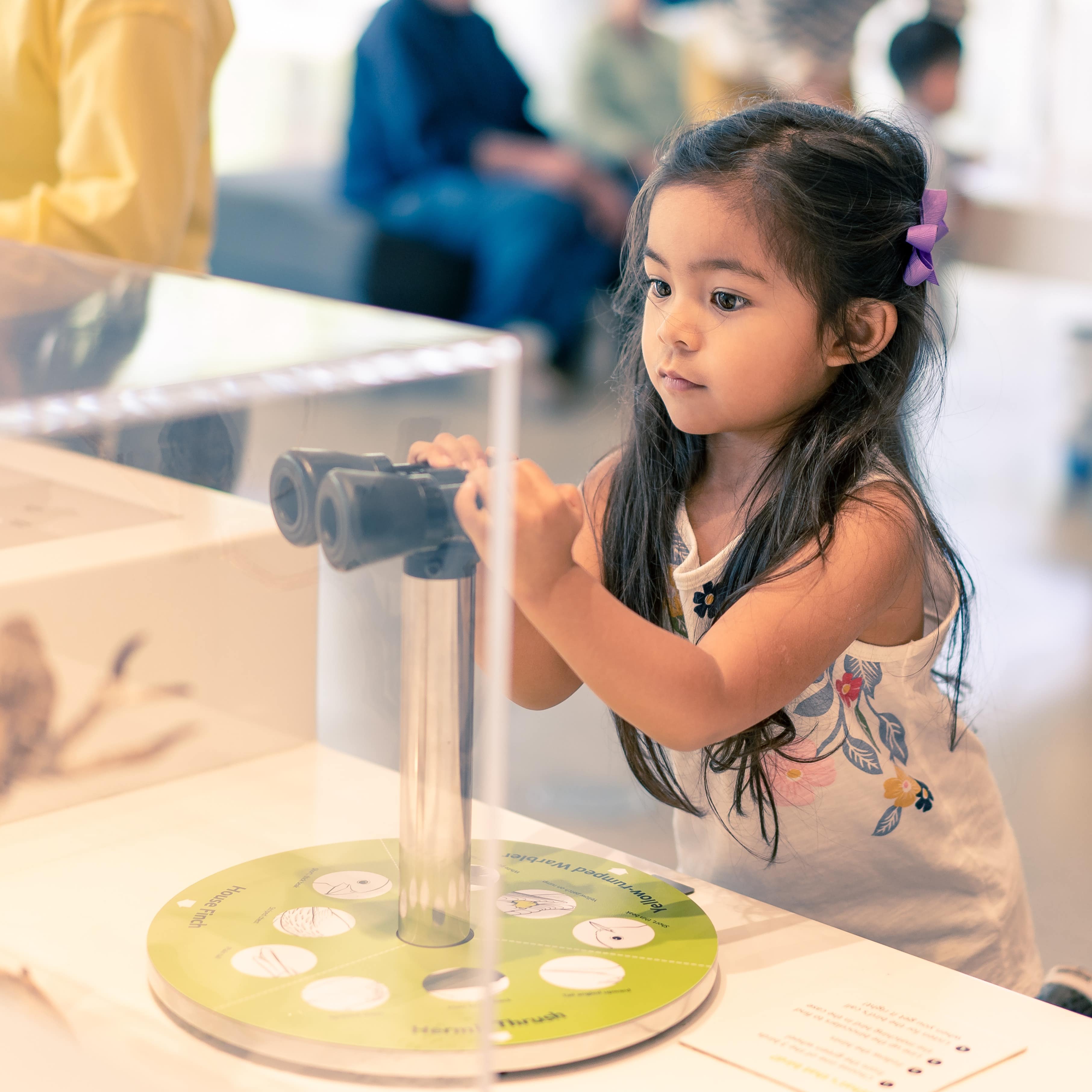 Little girl looking at bird exhibit