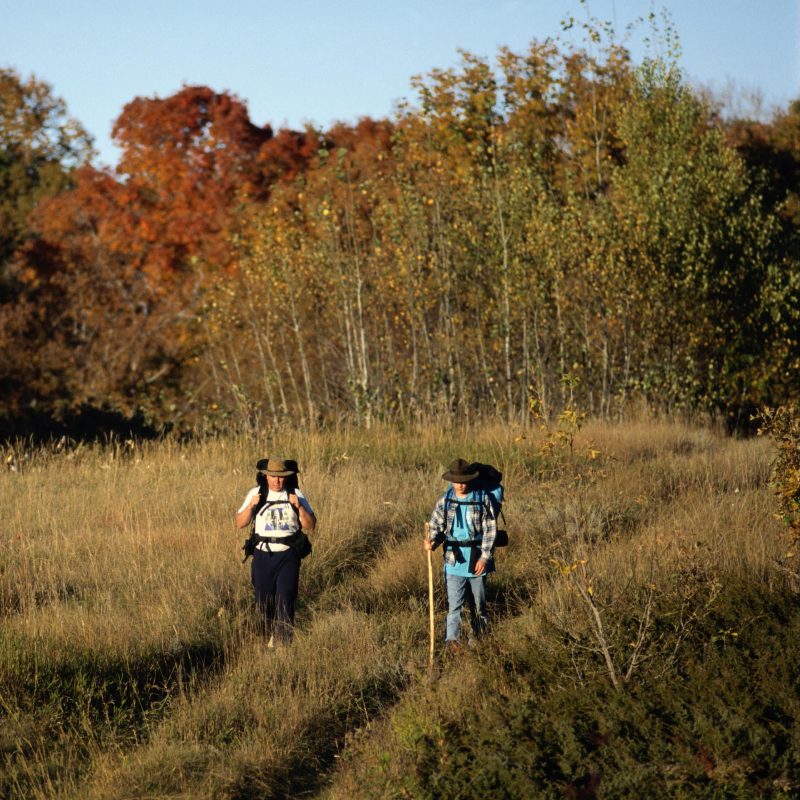 Two hikers walking through a field surrounded by plenty of trees.