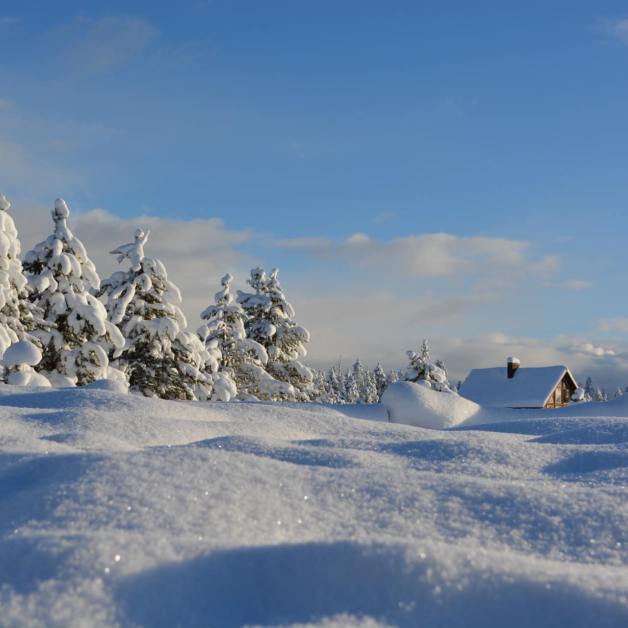 Snow-covered trees with a log cabin in the distance