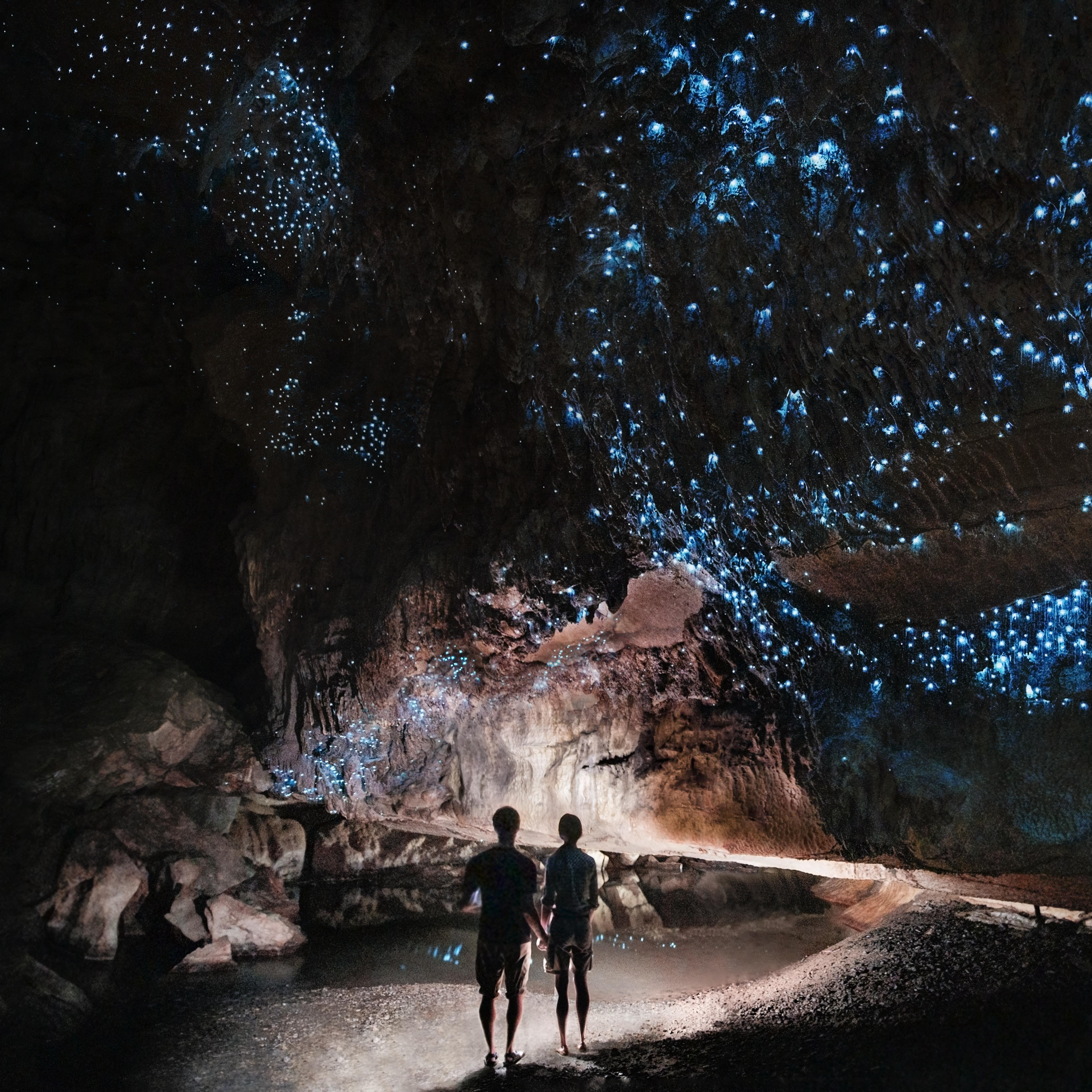 Two people shining a light in a cave with glow worms