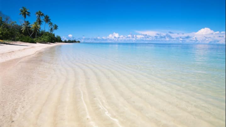 Make memories with a trip to Bucklands Beach