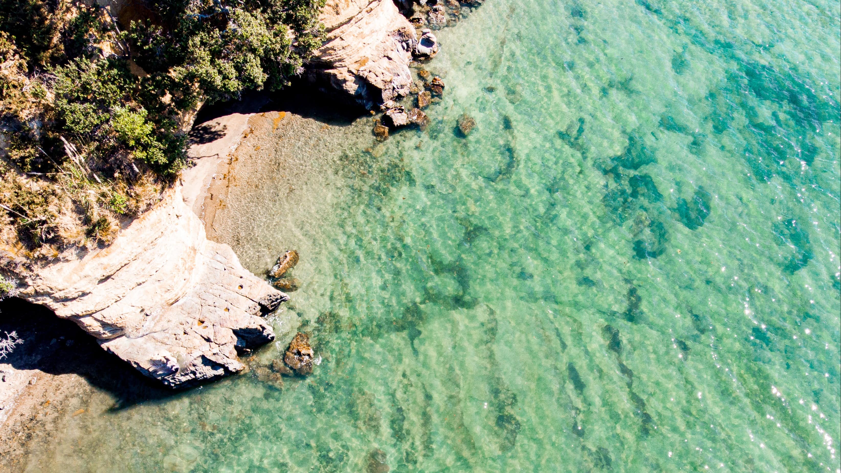 Discover fun at Whangaparaoa Beaches