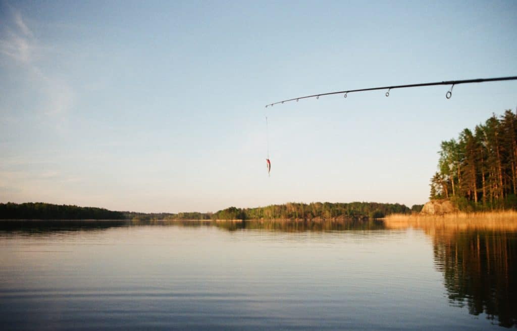 pigeon lake alberta