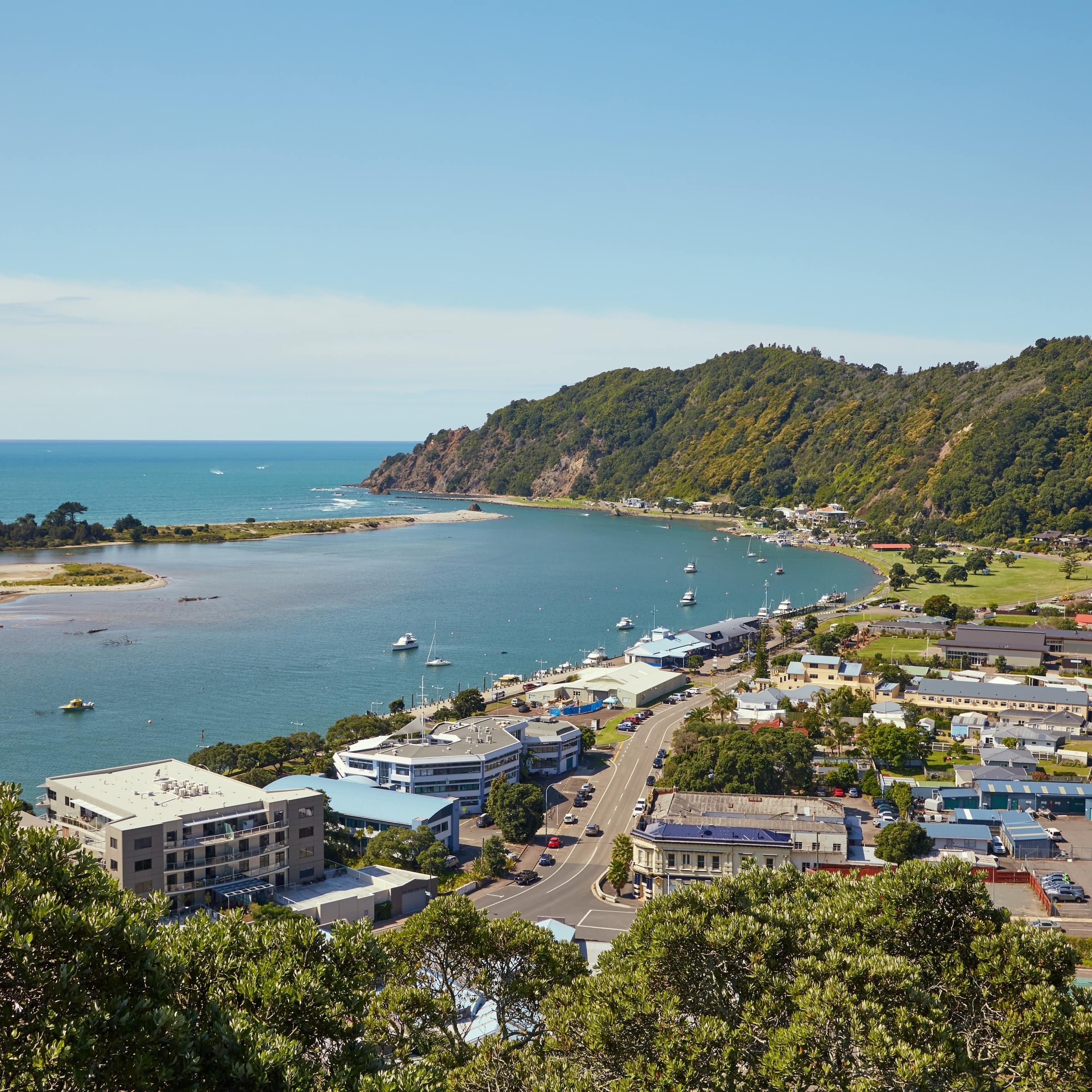 Aerial view of multi-colored homes and hotels along the bay with a tree covered hill in the distance