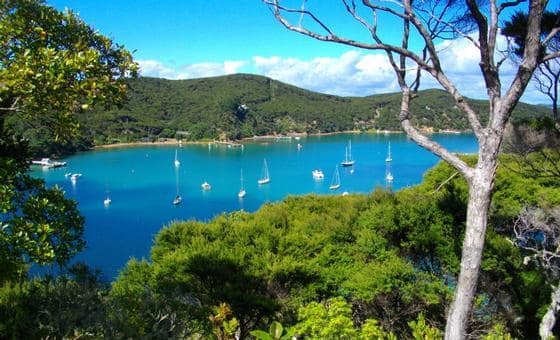 Kawau Island