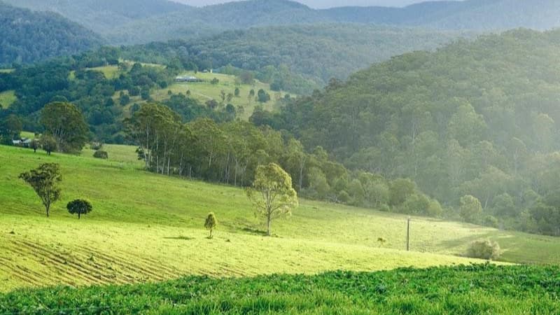 Get away from the norm at a farm stay in Australia