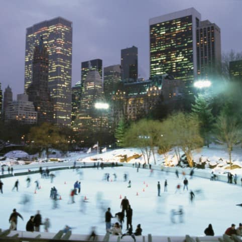 Multiple people enjoying ice skating.