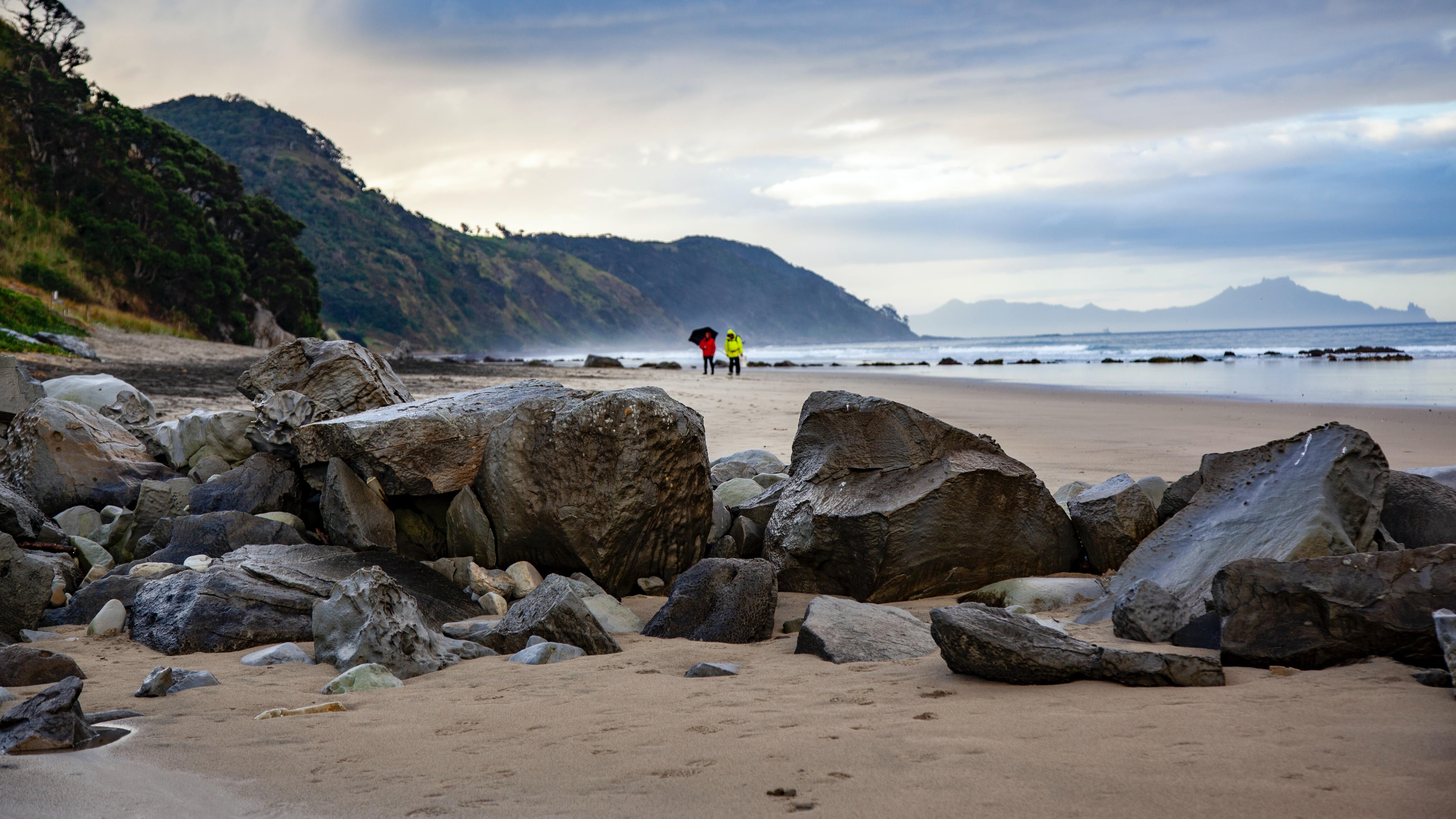 Enjoy a seaside trip with the best Northland beaches