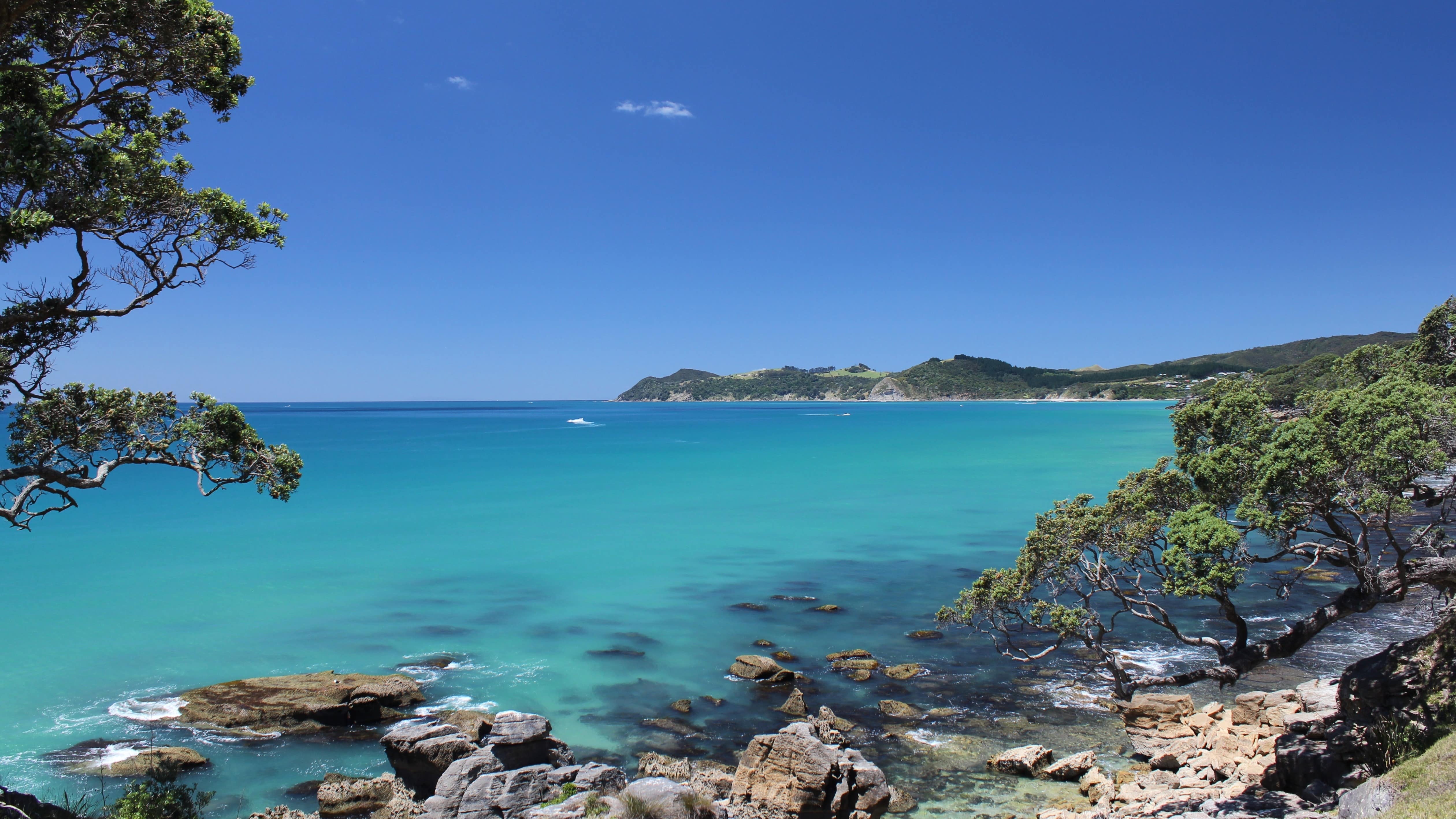 Fun in the sun at Whangarei Beaches