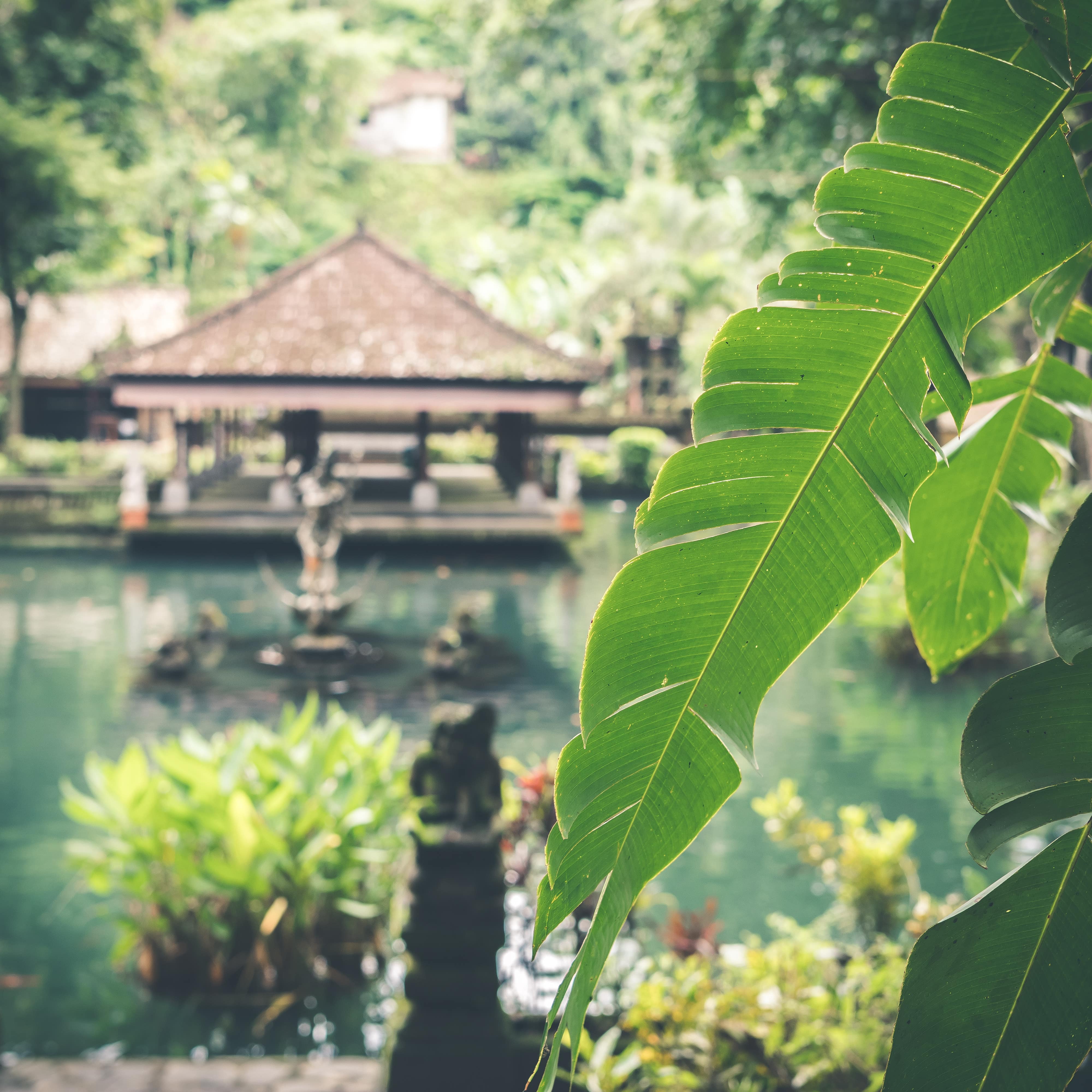 Bali villa with private pool and pavilion in an elaborate garden with tropical plants and traditional statues