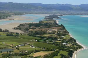 Nelson wine region