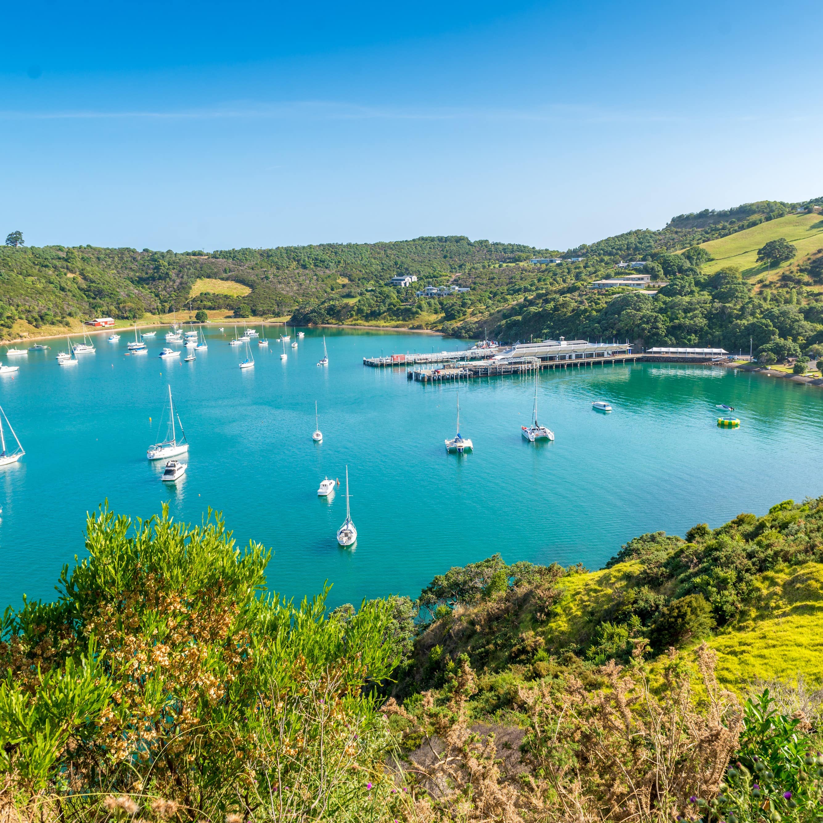 Boats in the bright blue waters of Waiheke Island surrounded by green hills