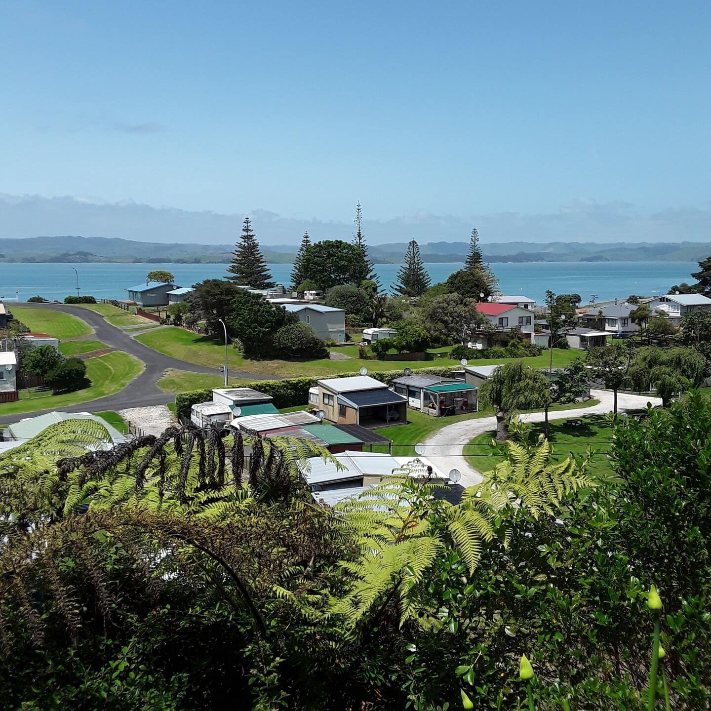 A view of beach bachs in front of Kawhia beach through the trees under an open blue sky