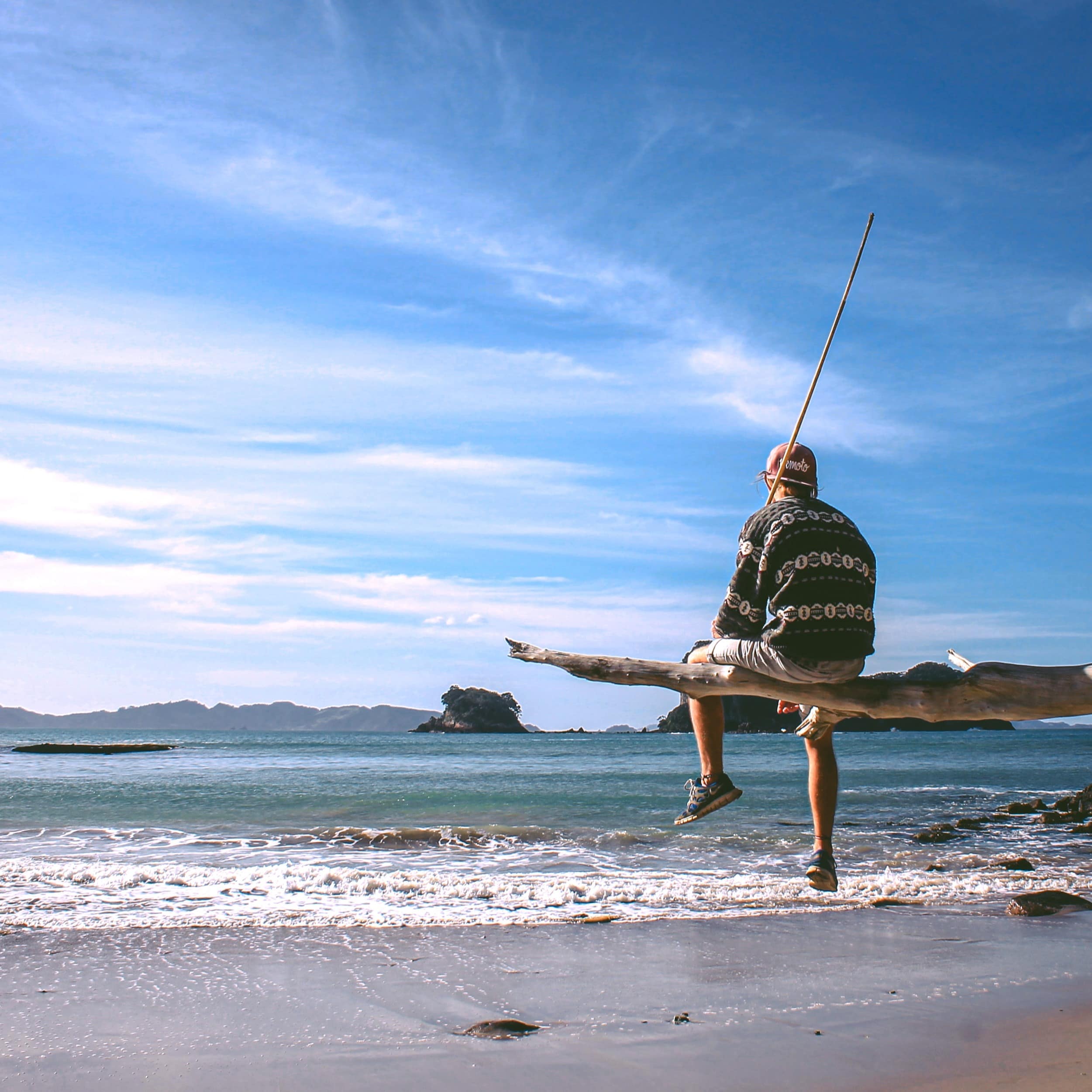 Person sitting on a tree branch with a fishing pole looking out on the ocean under a blue sky