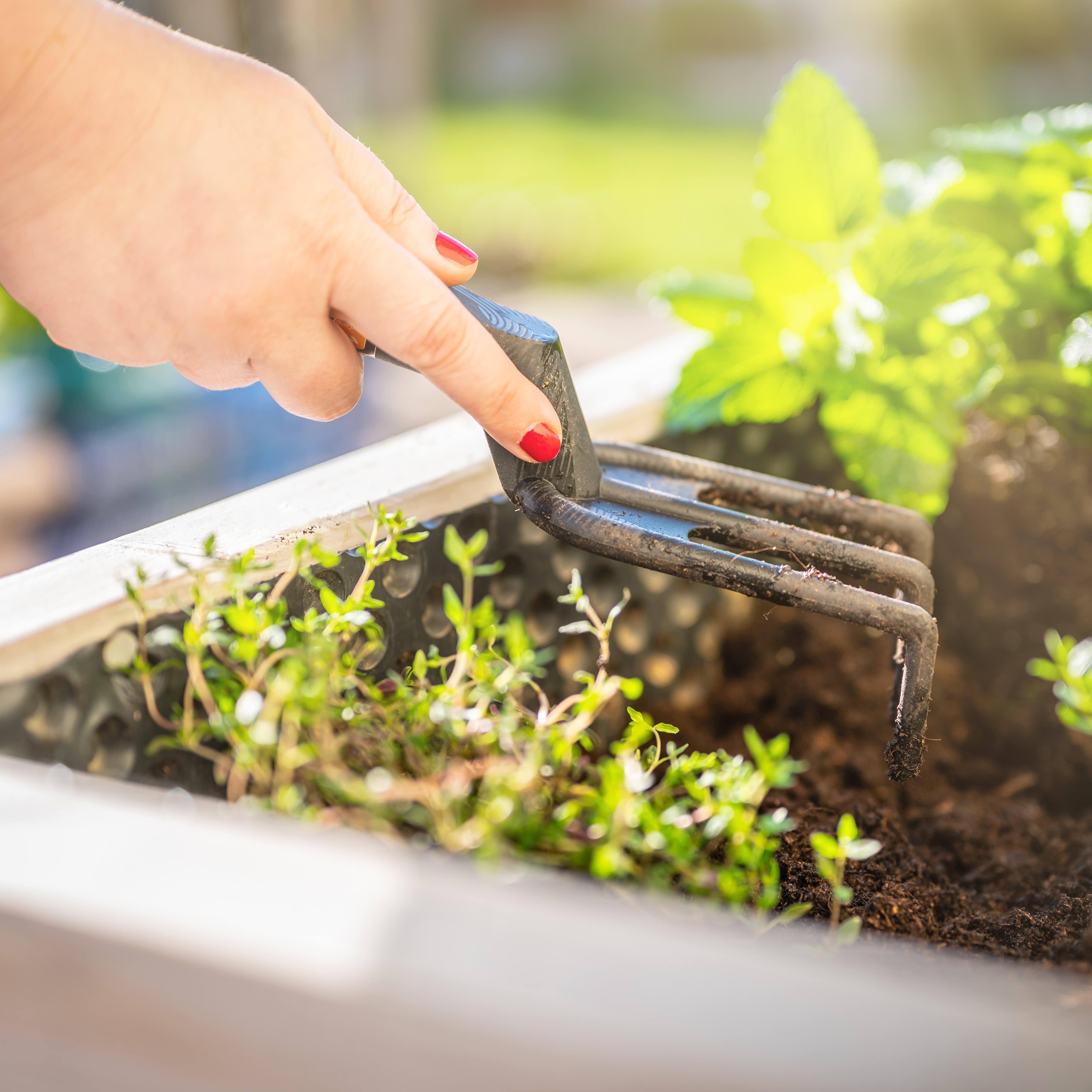 Hand with tool caring for herb garden