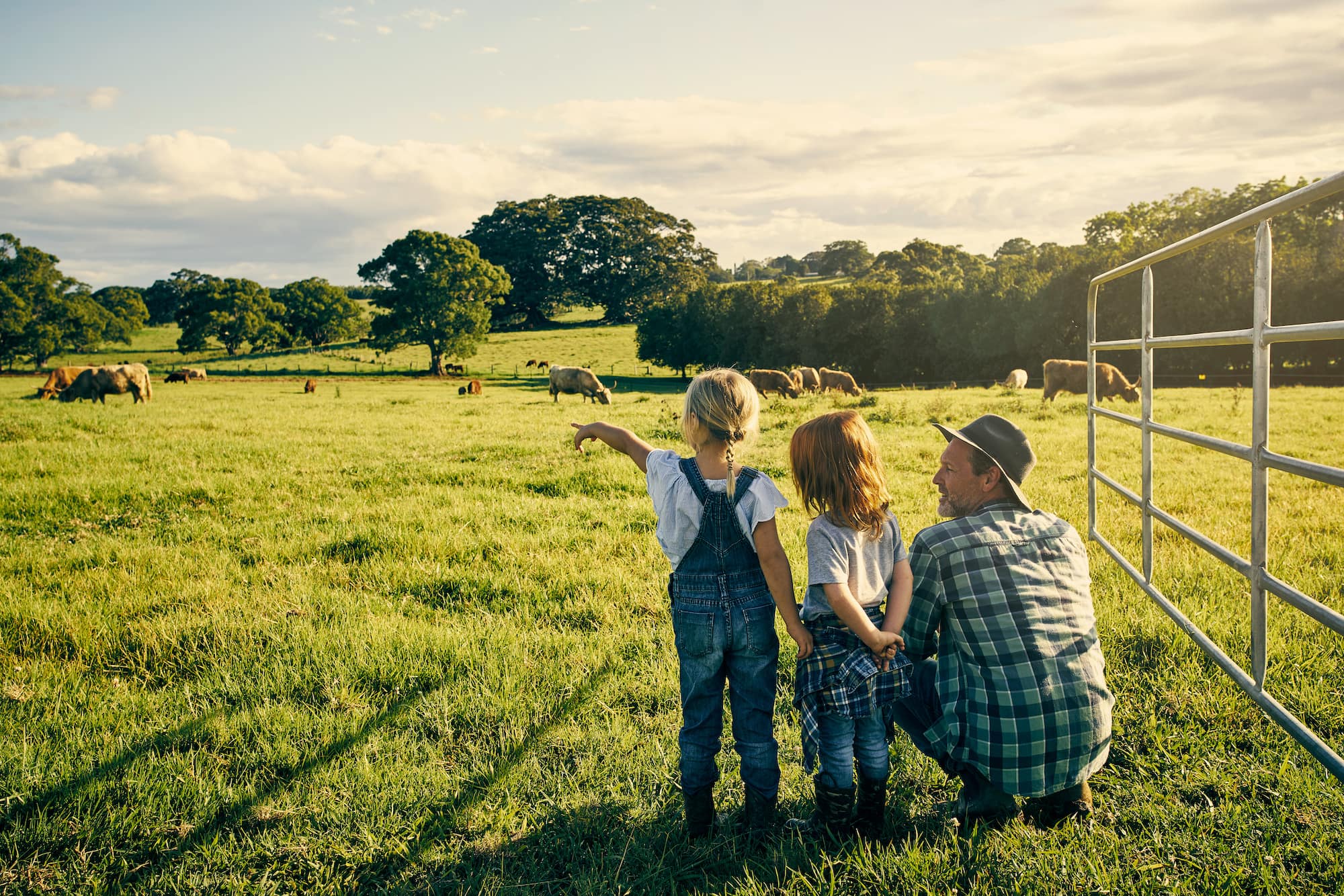 Farm stays in NSW—not just a holiday but an experience