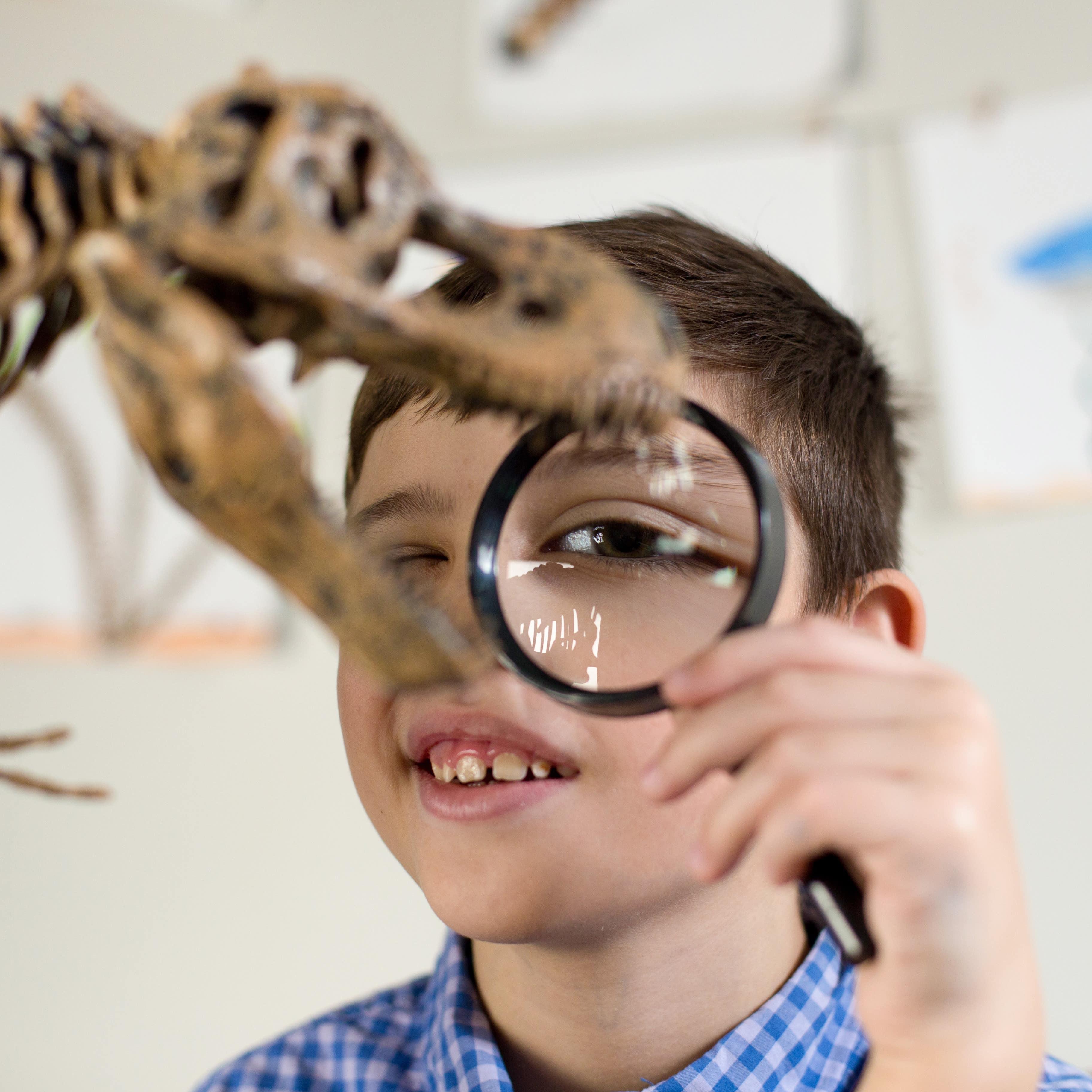 A boy looking at a dinosaur model through a magnifying glass
