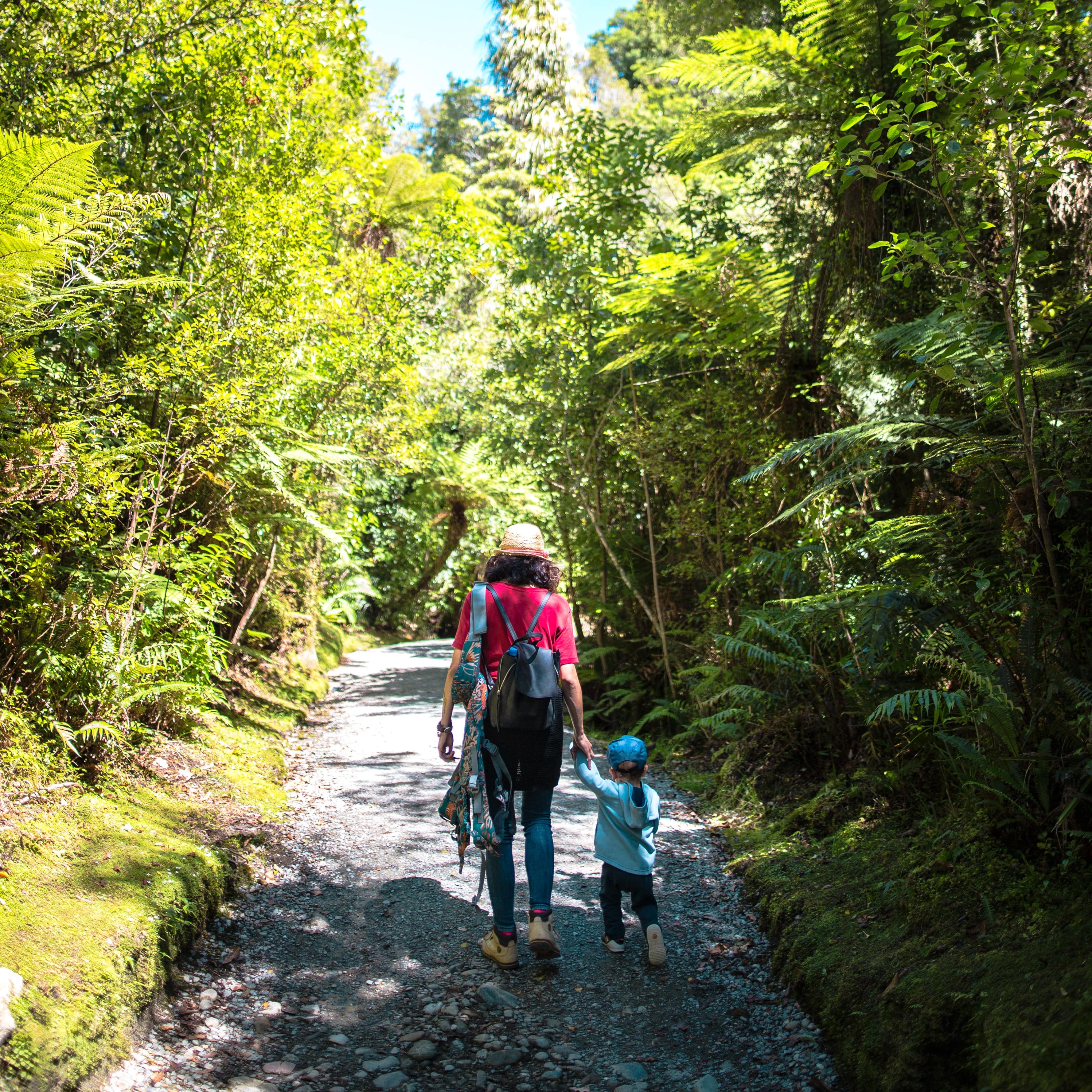 Parent and child hiking in New Zealand