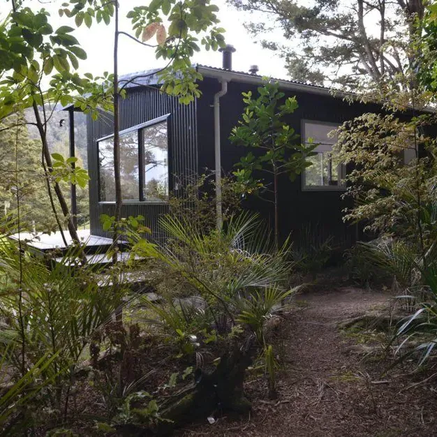 Bach surrounded by green vegetation in the Mataknaa bush