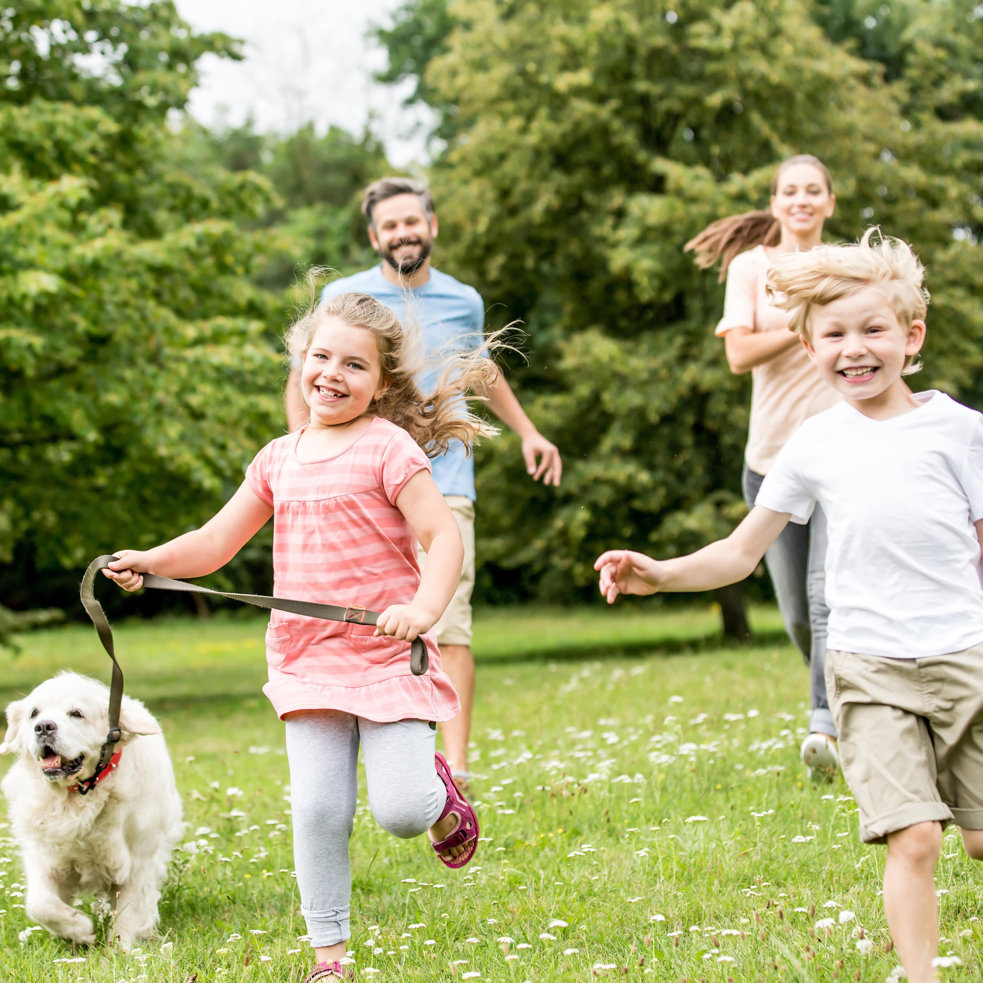 Family running in park with dog