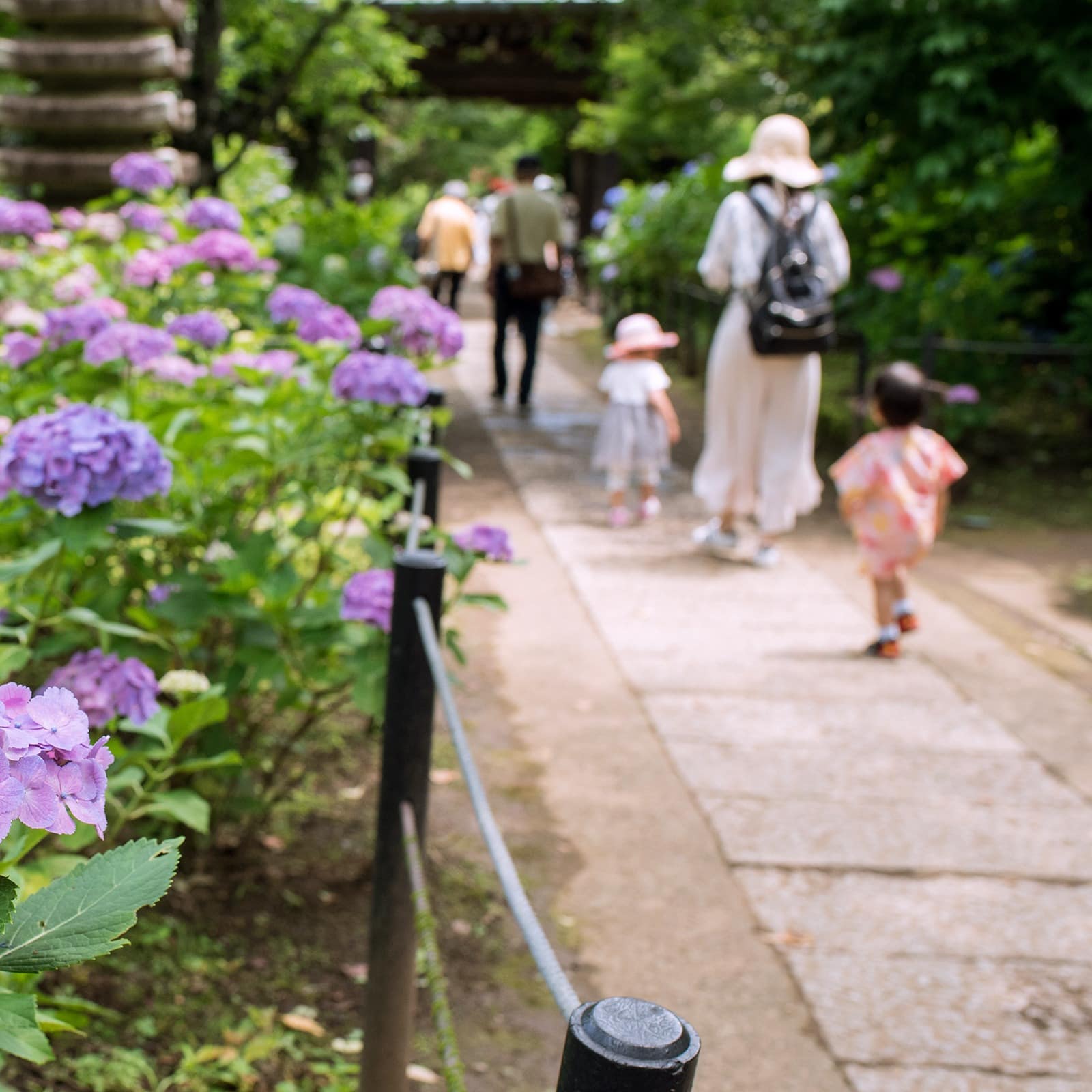 Rear view of people walking through a botanical garden