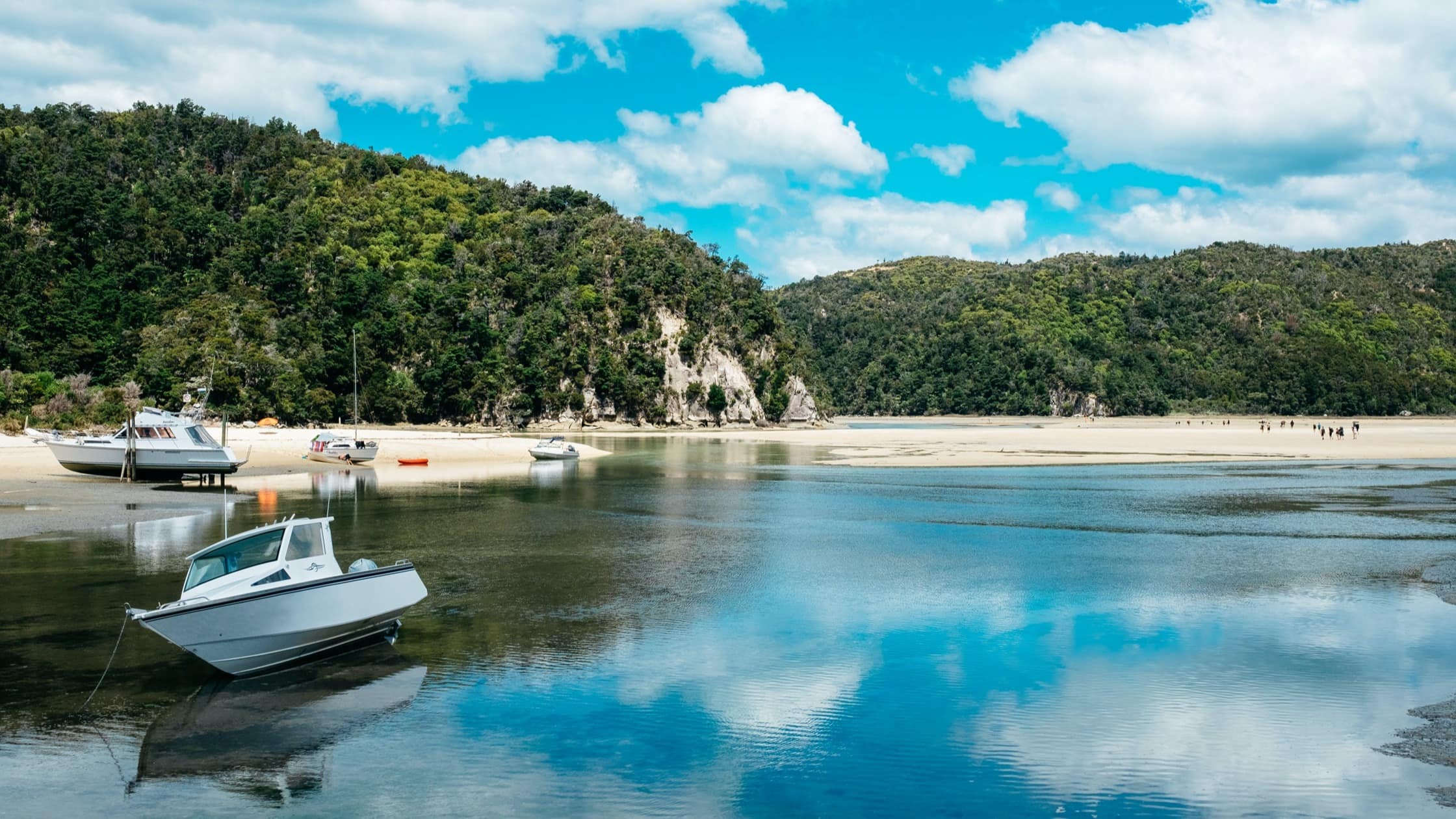 Experience beautiful Abel Tasman beaches