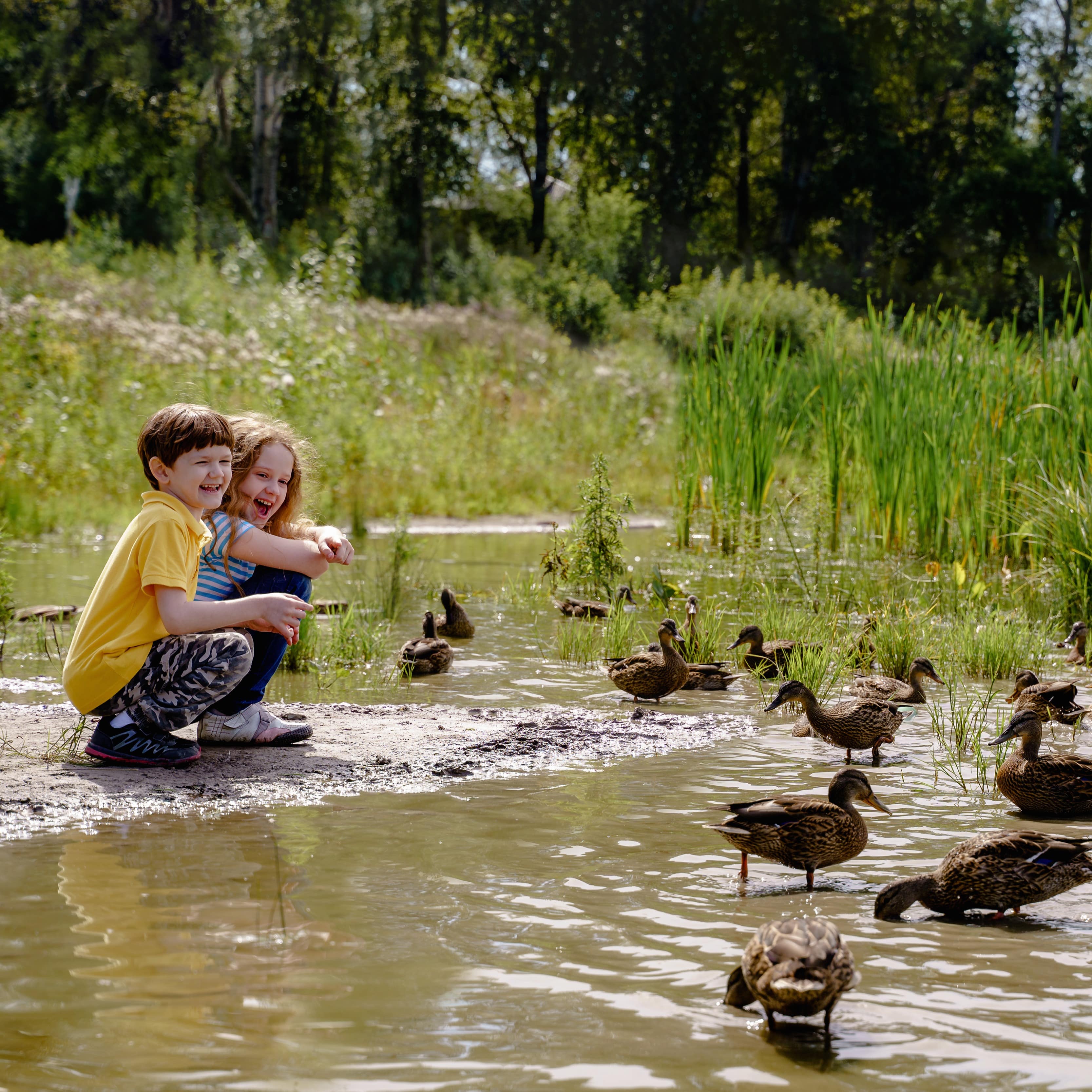 Children beside duck pond