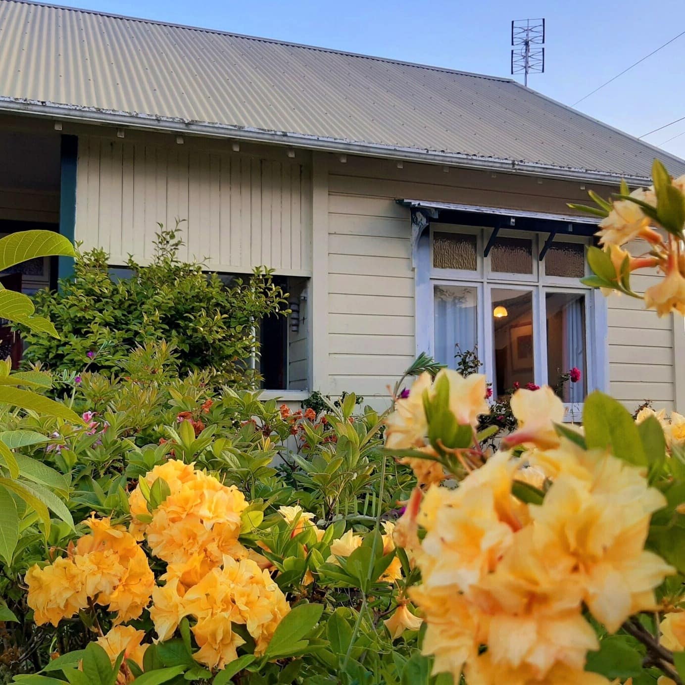 The side of a white holiday house with a garden of yellow flowers in the foreground