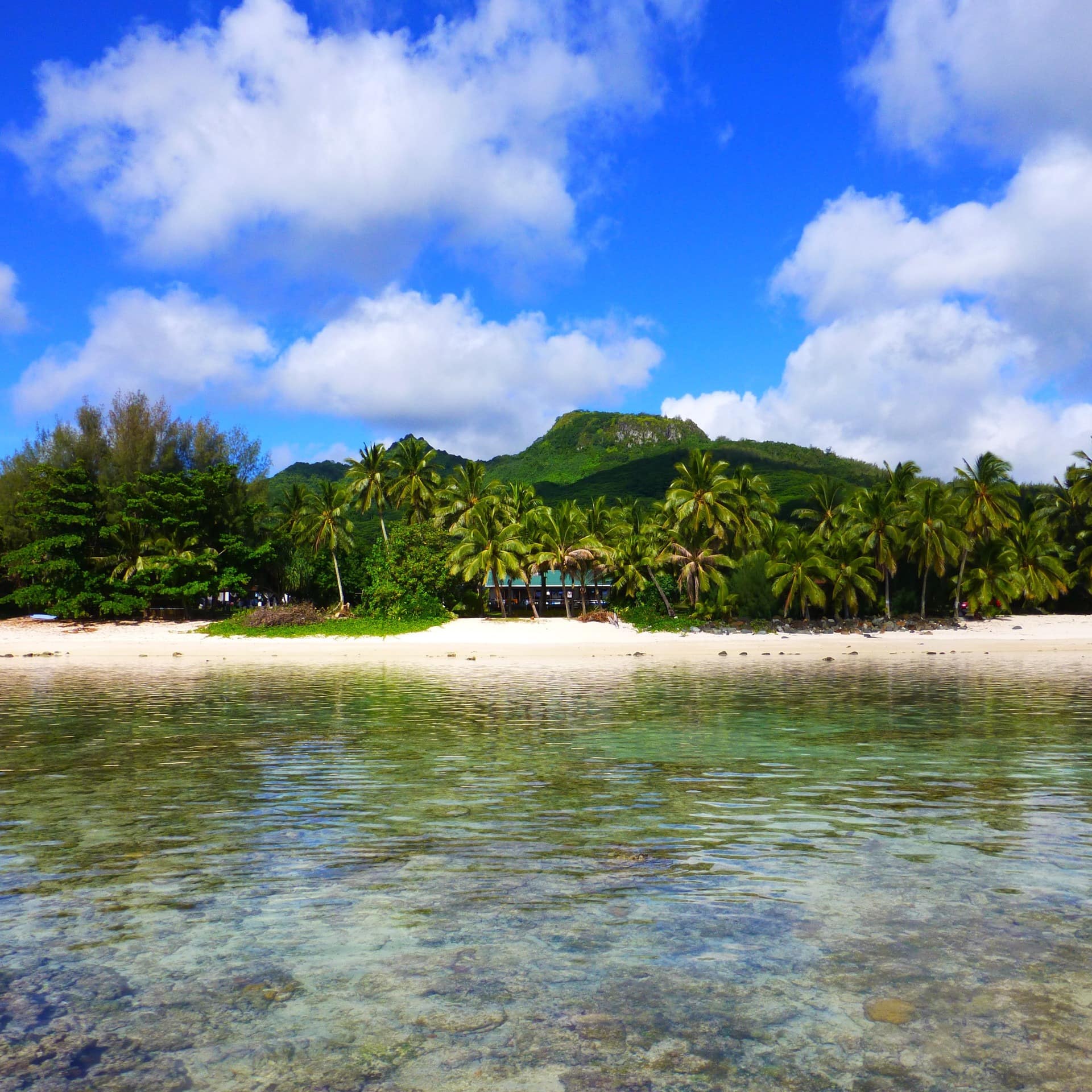 Beach house hidden among palm trees in front of a mountain with the clear waters of Rarotonga in the foreground