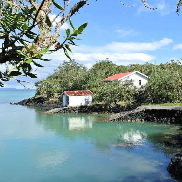 View of a white beach bach and shed across the water surrounded by trees