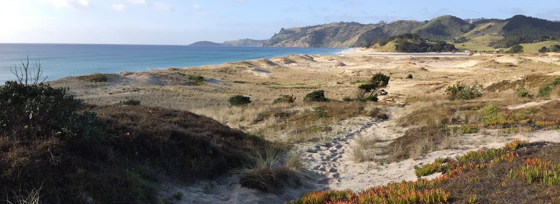 Matakana off the beaten track
