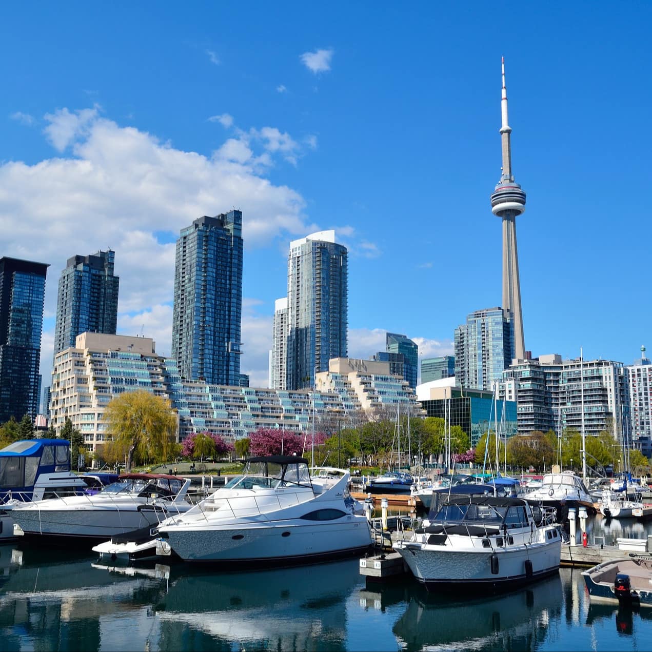 The Toronto Harbourfront with speed boats and sailboats at dock and the city skyline and Toronto Needle against a blue sky