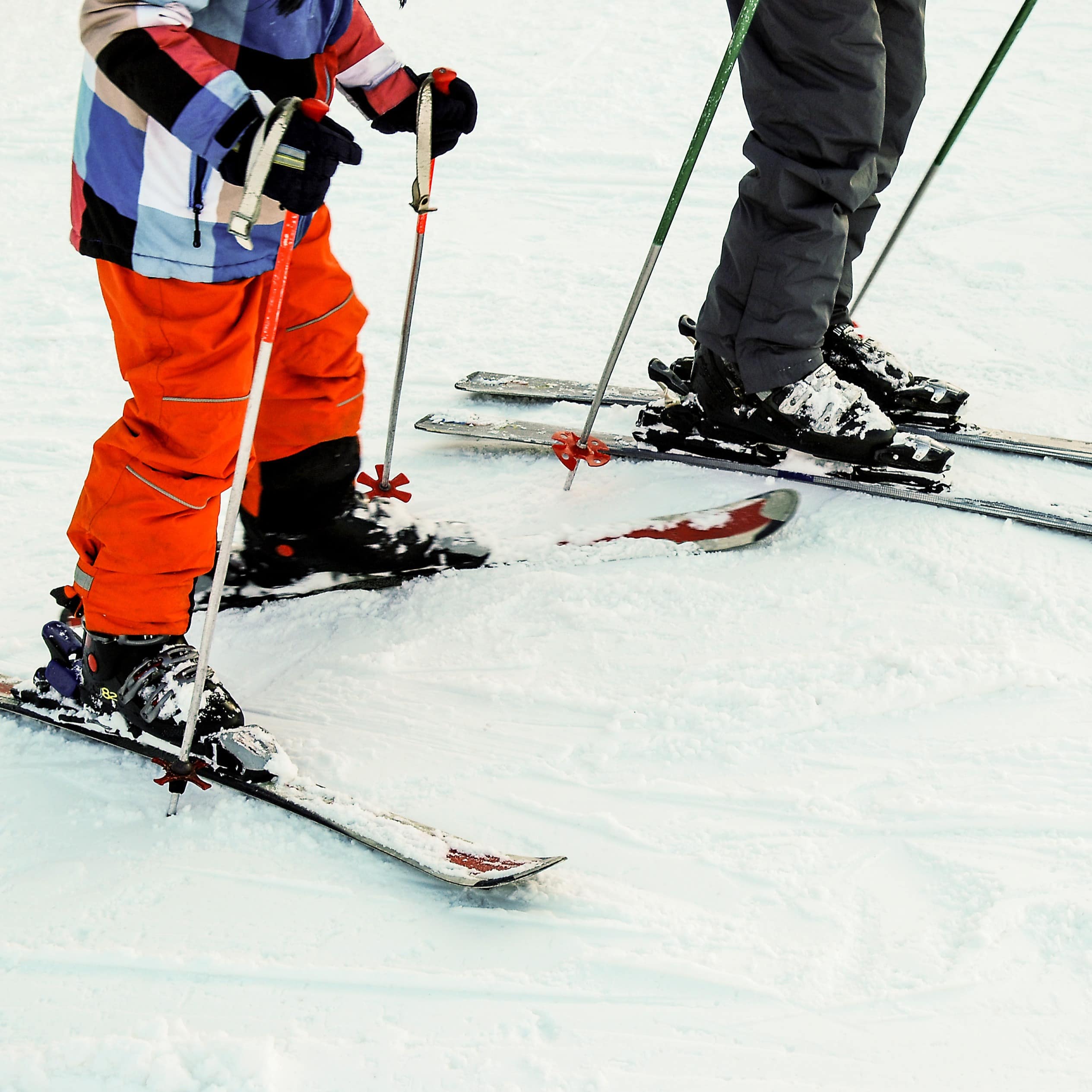 Legs and skis of a parent and child on a beginner's slope