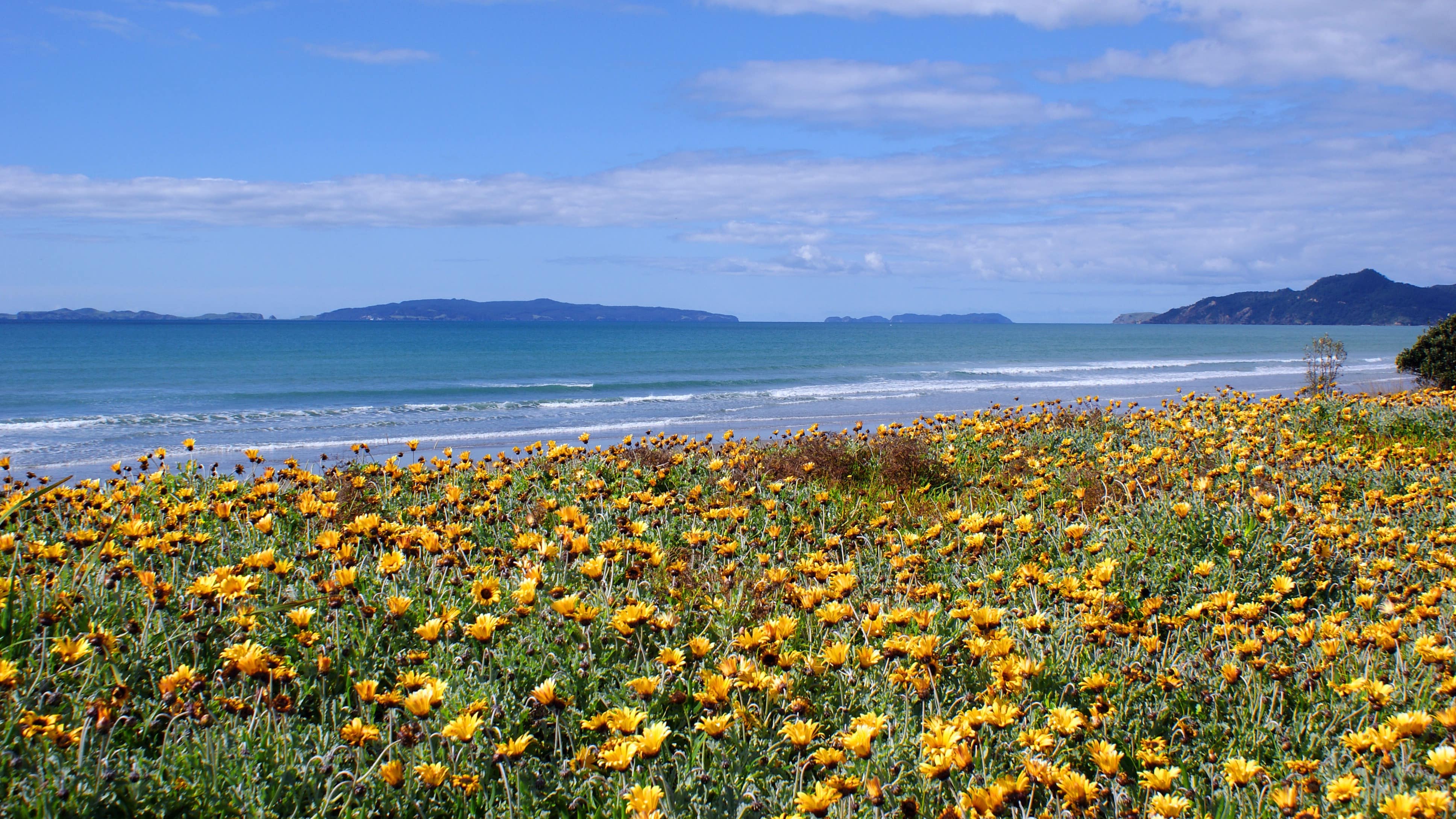 Plan a beach holiday at the best Coromandel beaches