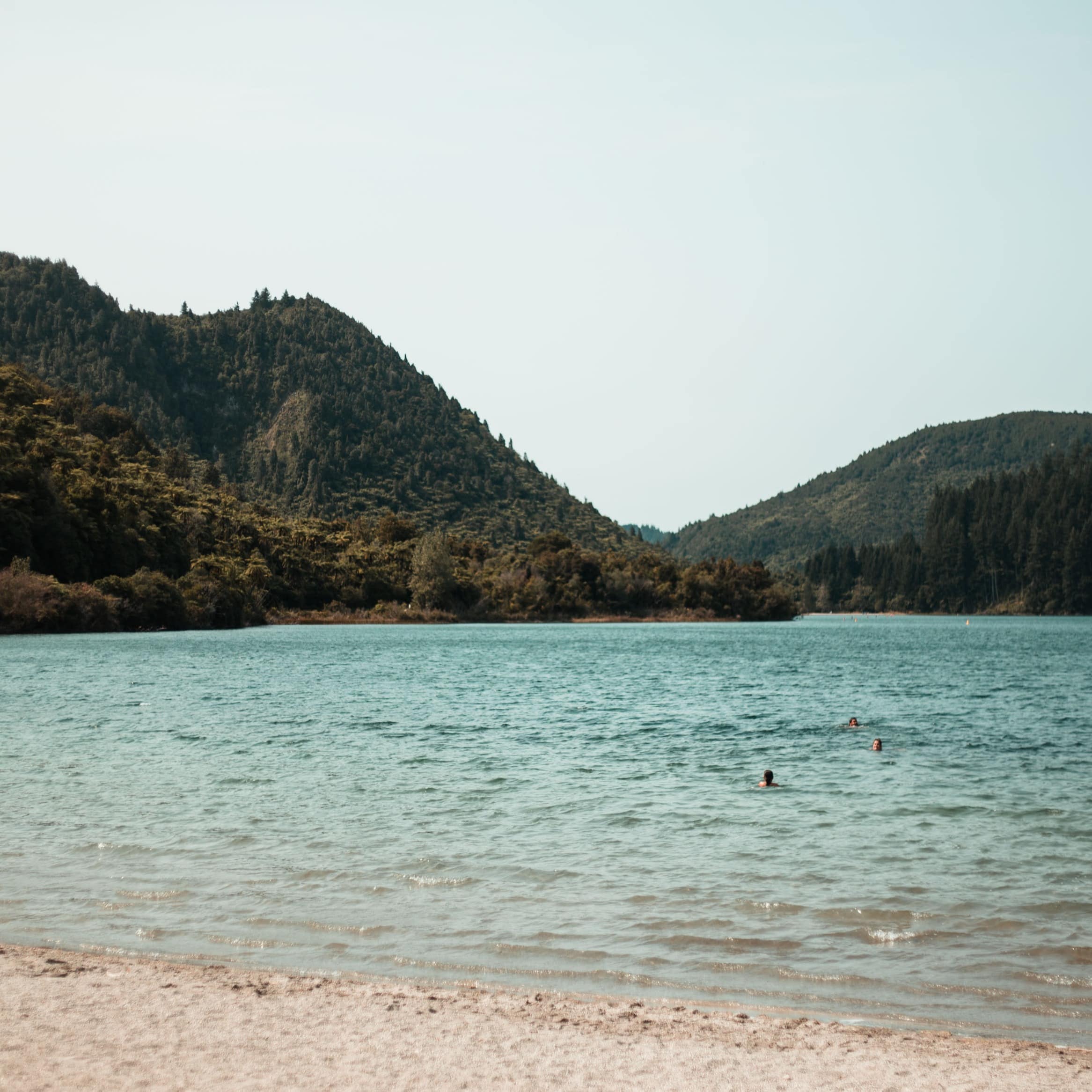 People swimming in the blue lake water in Whakarewarewa