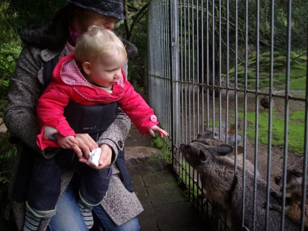 Rainy day adventures in Rotorua