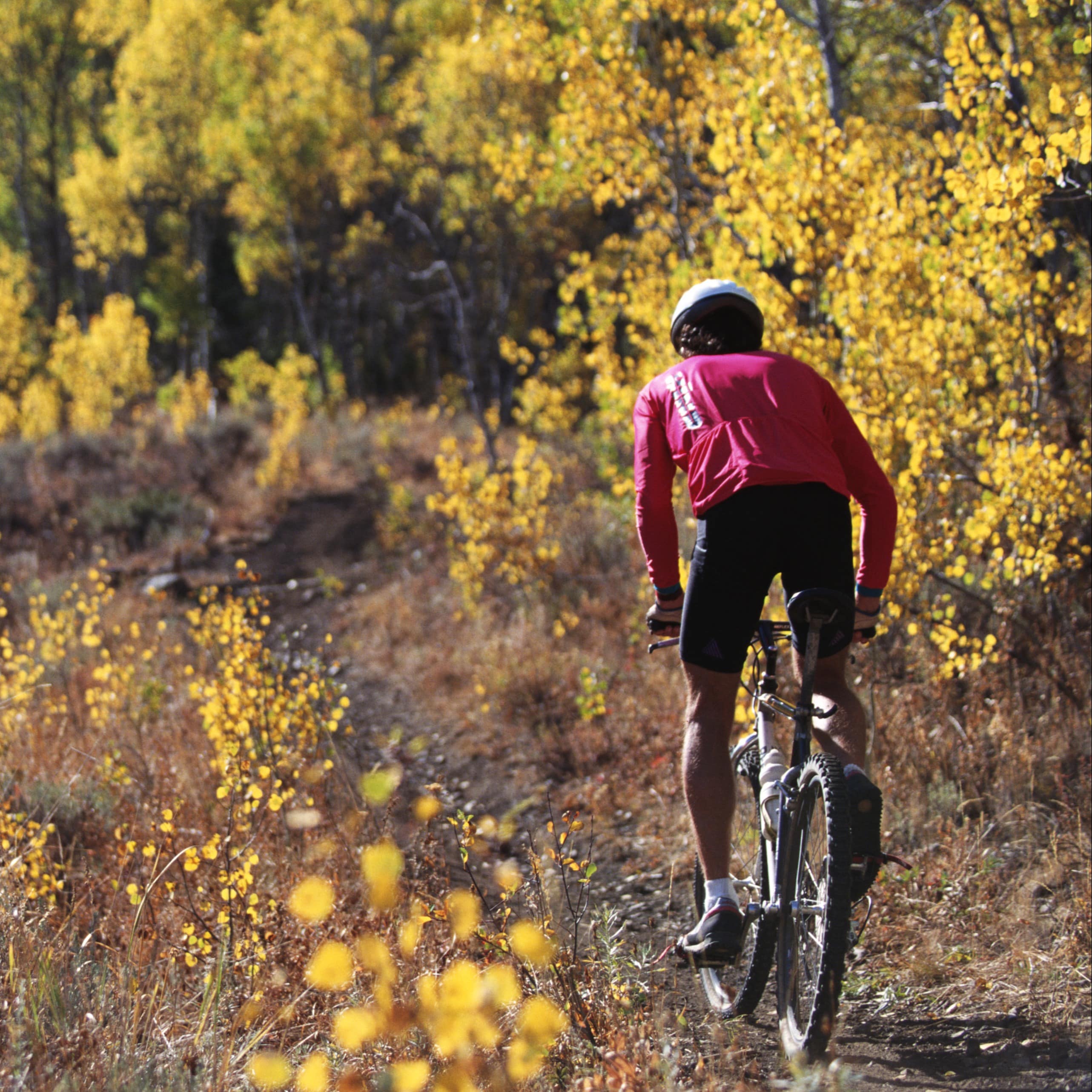 Biking on a trail surrounded by nature on a sunny day.