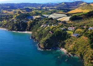 Waiheke coast and vineyards