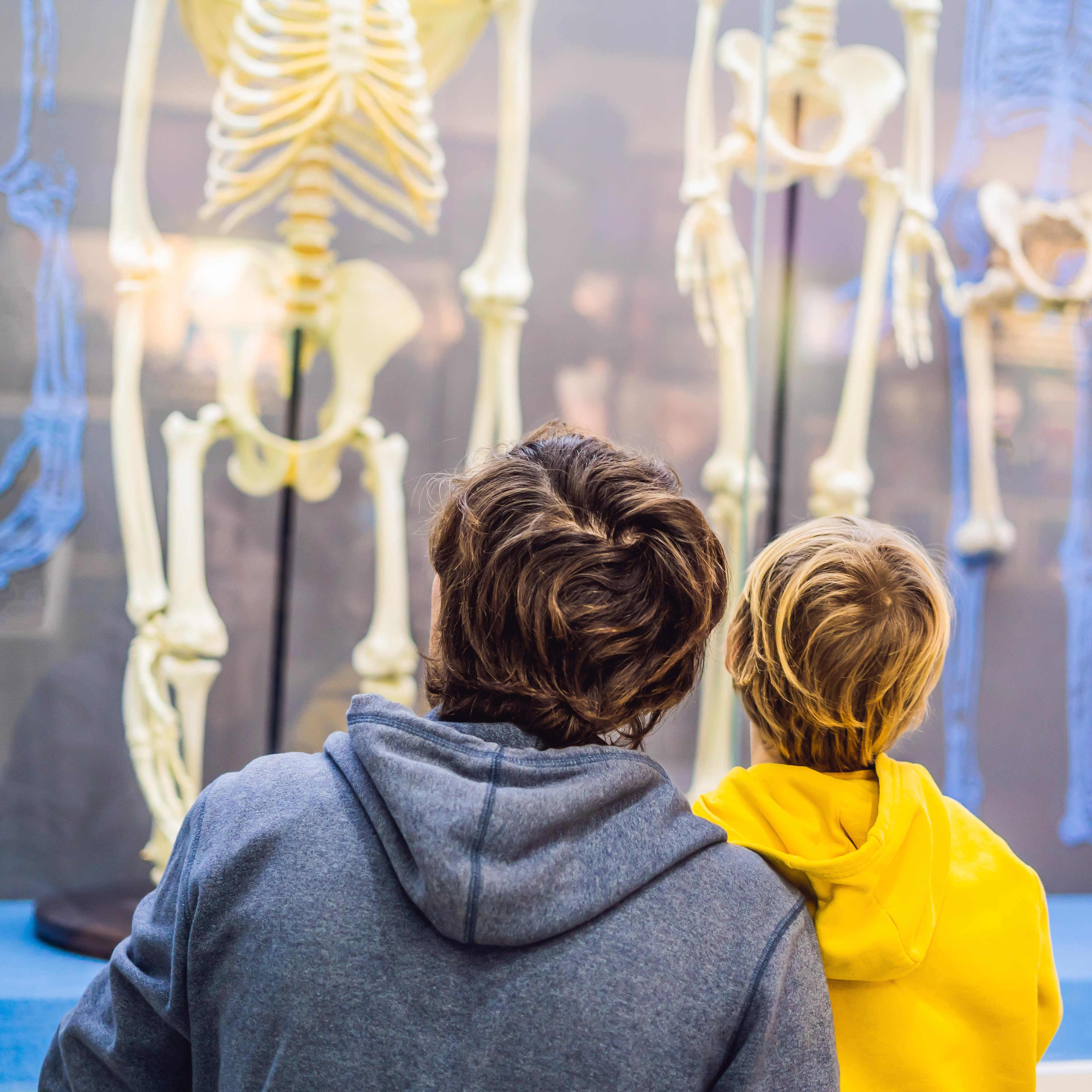 Dad and son looking at the skeletons of ancient and modern people