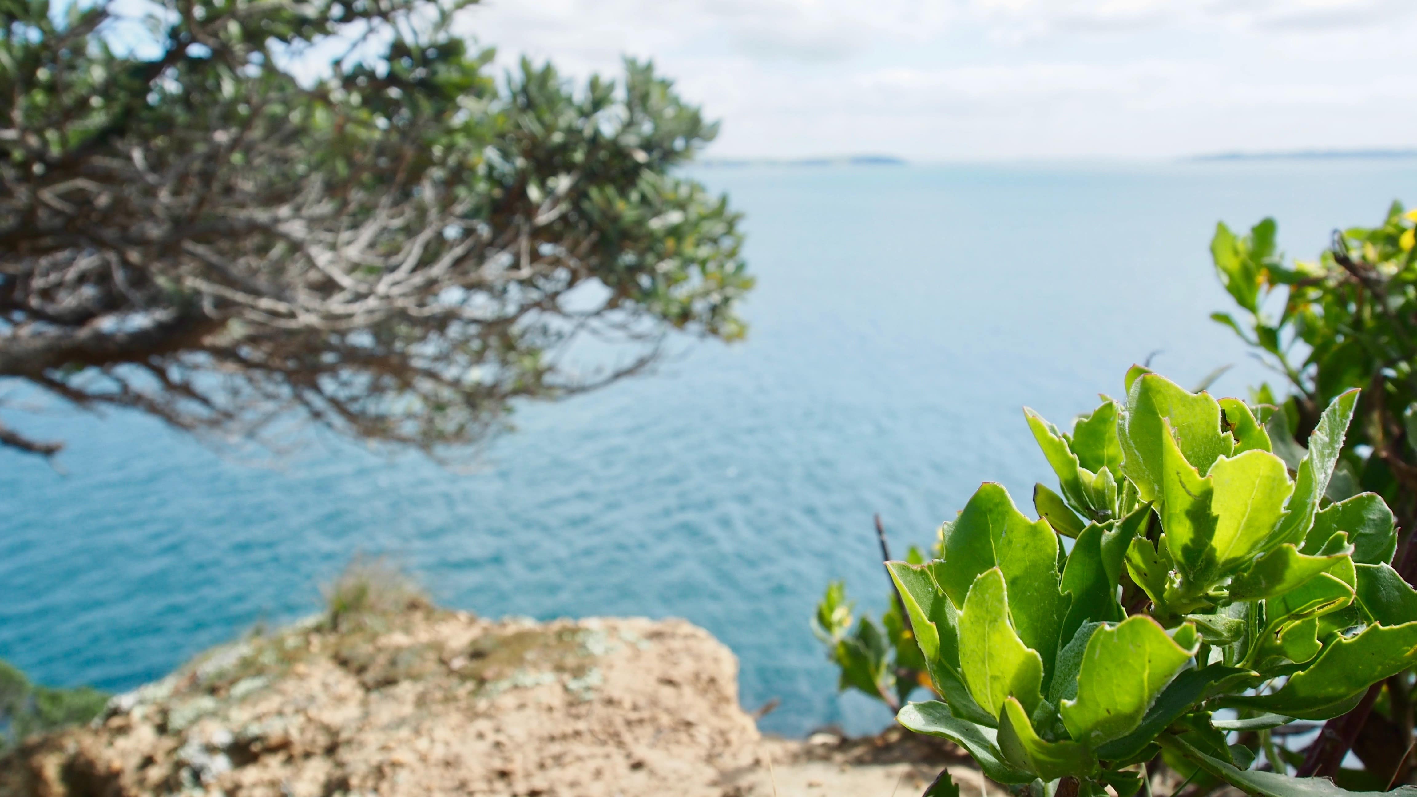 Have an unforgettable holiday in Maraetai Beach