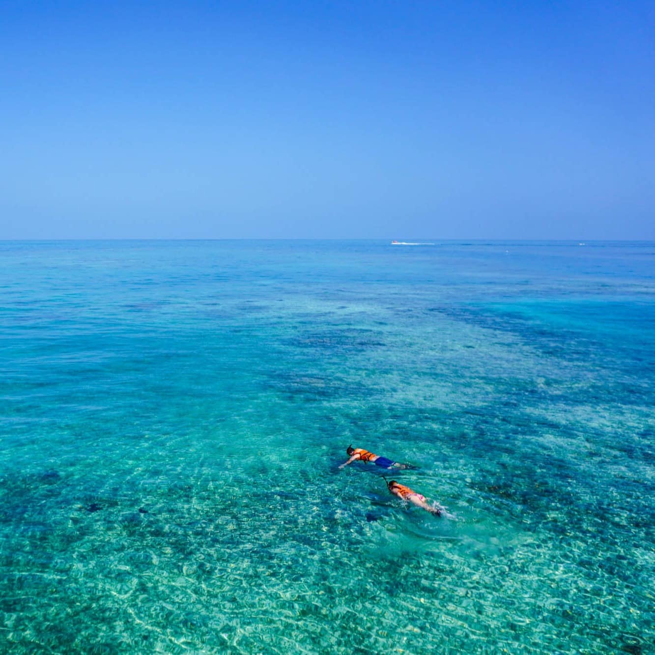 Aerial shot of two people snorkeling in the ocean on a sunny day