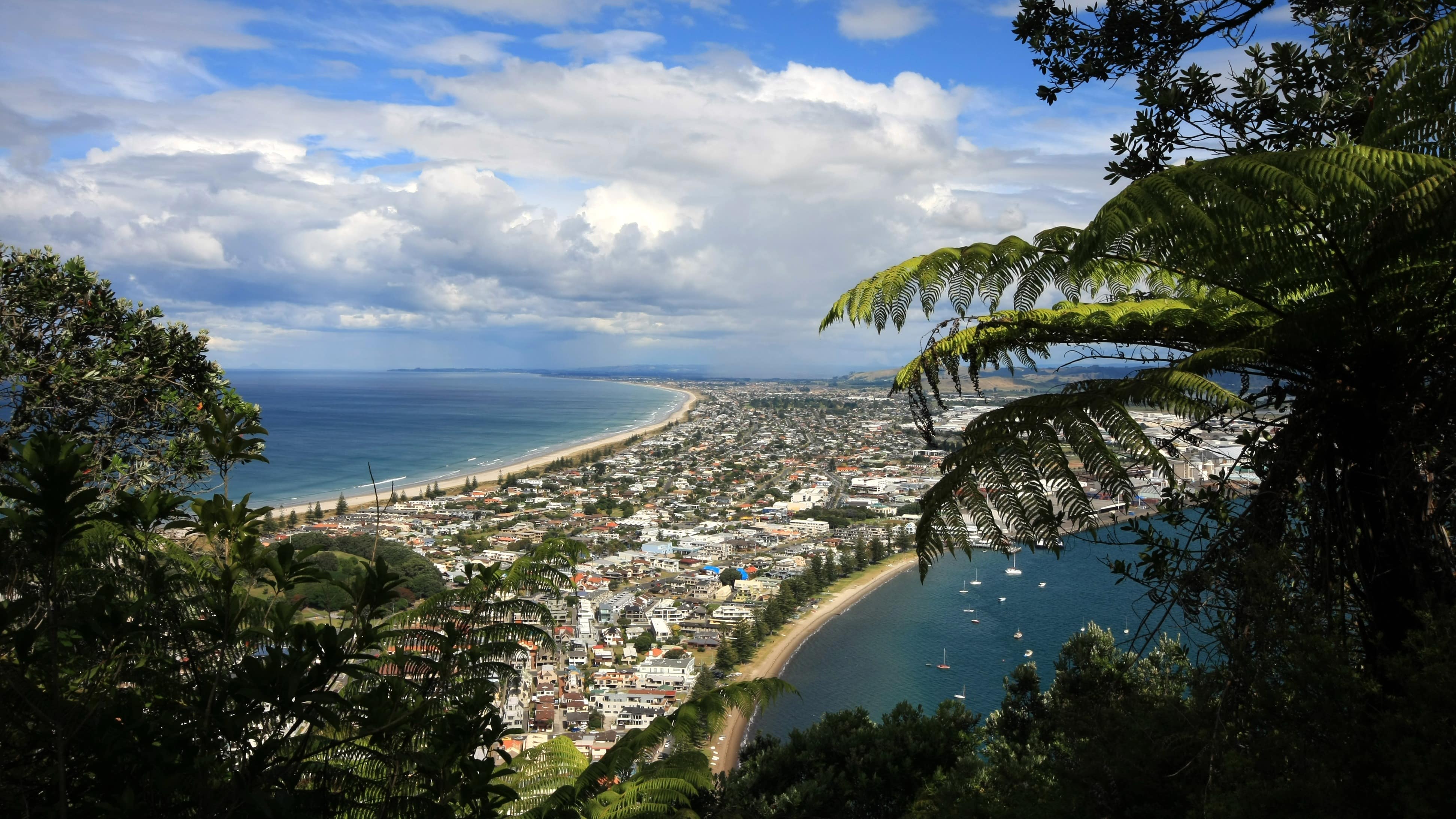 Plan a seaside retreat with Bay of Plenty beaches